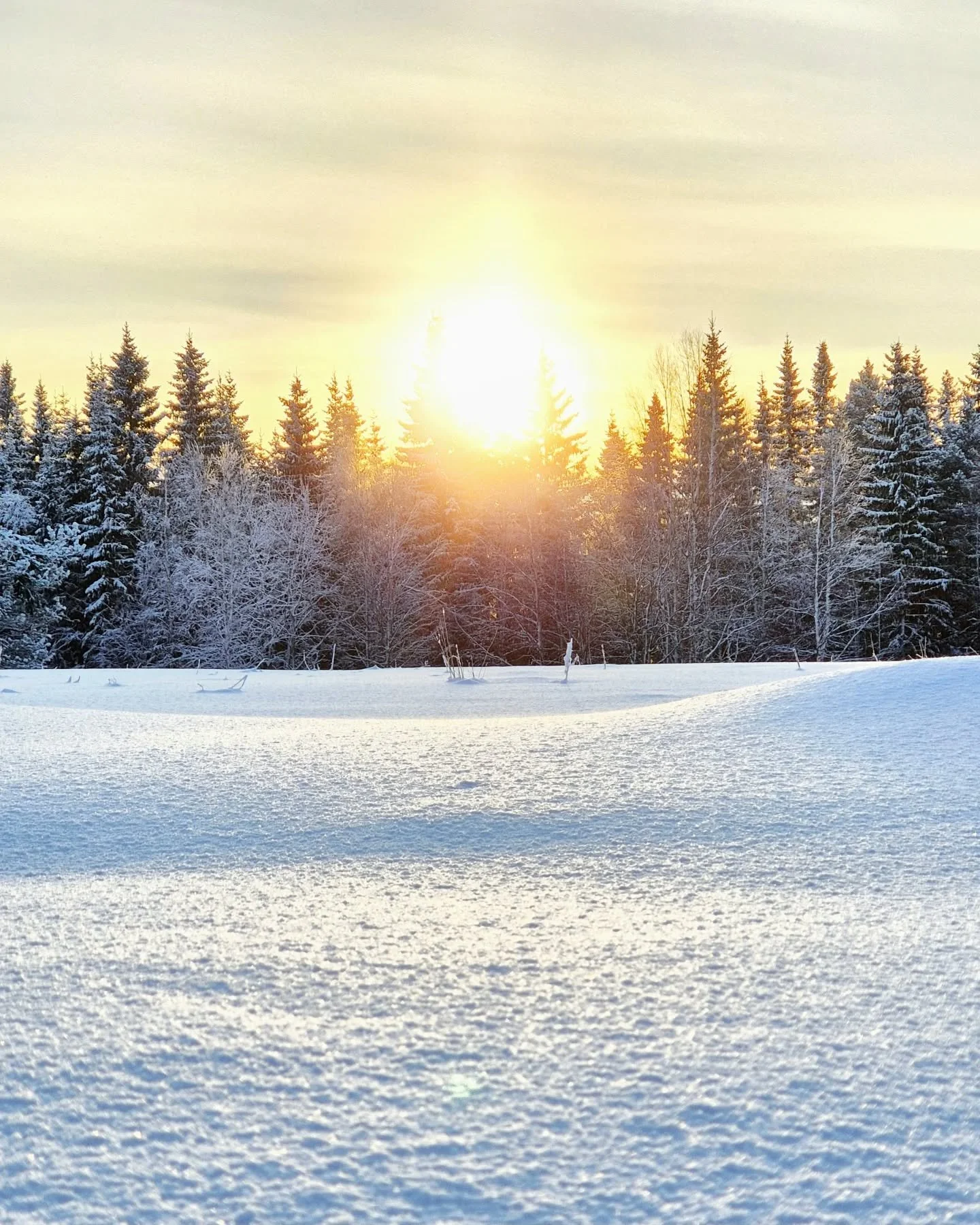 Januari och det k&auml;nns som det &auml;r p&aring; v&auml;g att v&auml;nda nu. Dagarna blir lite l&auml;ngre som solen visar sig lite oftare. 

Vet inte hur det &auml;r med er, men efter ett riktigt skit &aring;r &auml;r jag otroligt taggad p&aring;