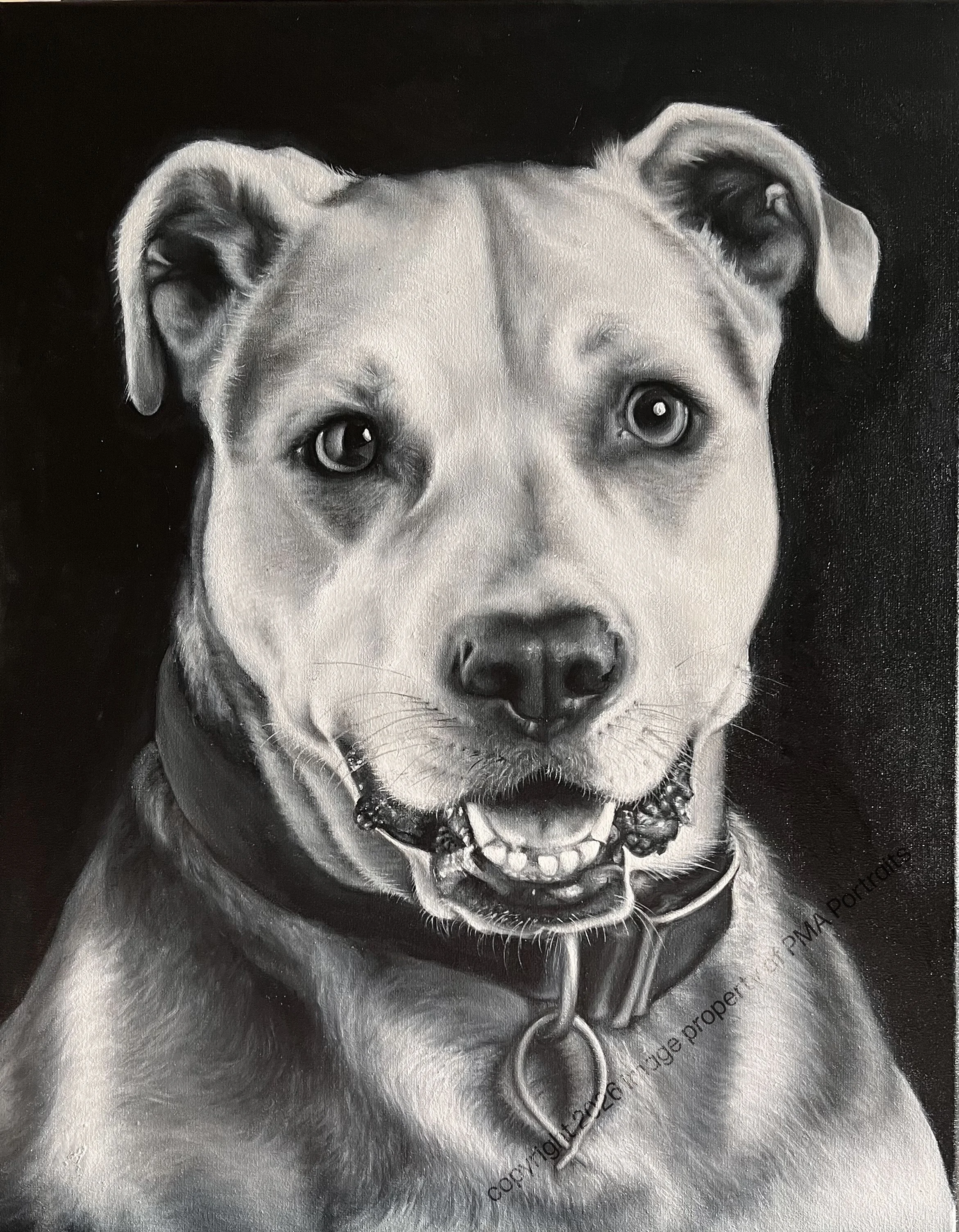dog-close-up-black-white-painting-PMA-2026.jpg