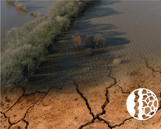 FDRI-Facebook-Cover@2x (1).png