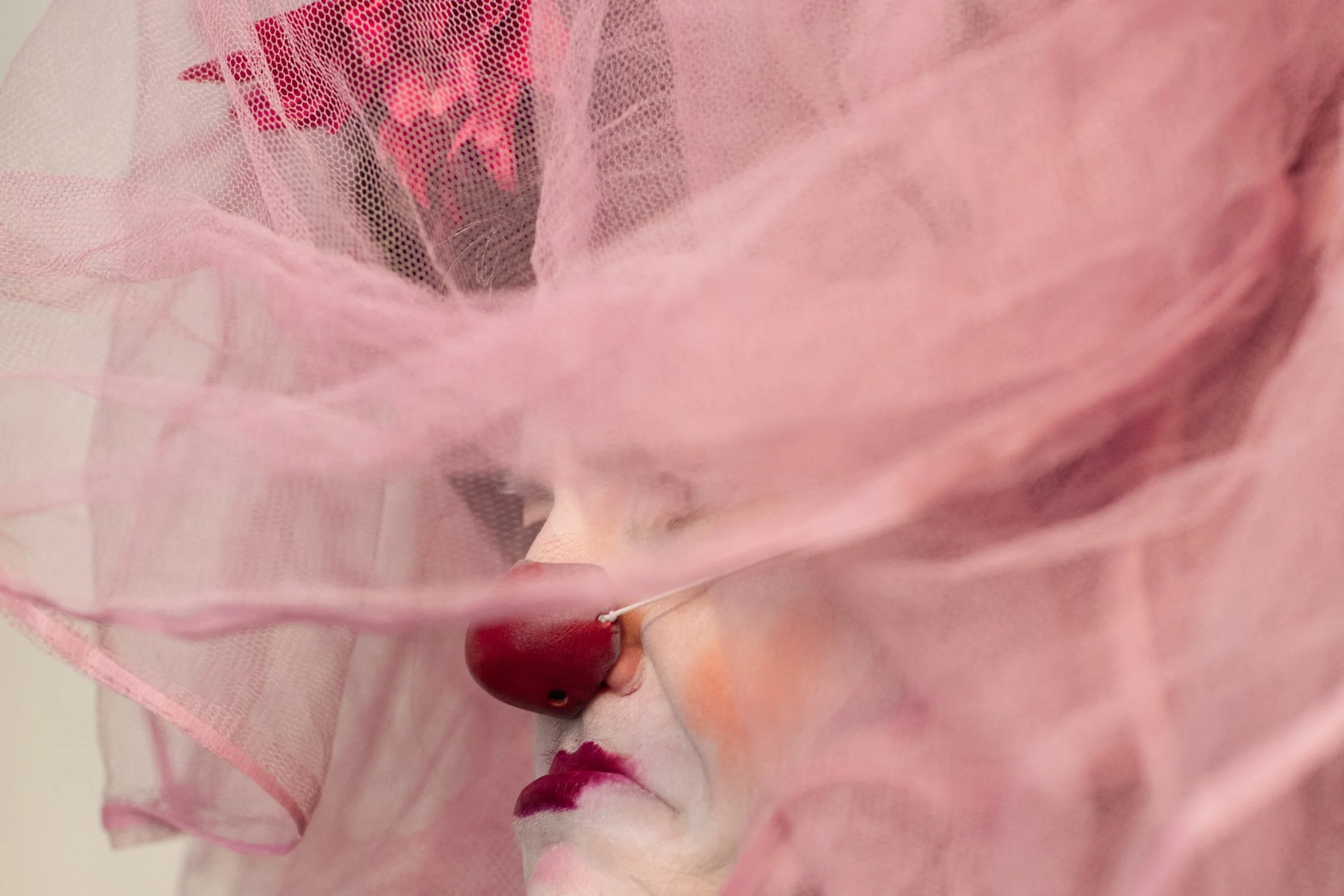 Clown.e: Brigitte Makrel (Lise La Greca)