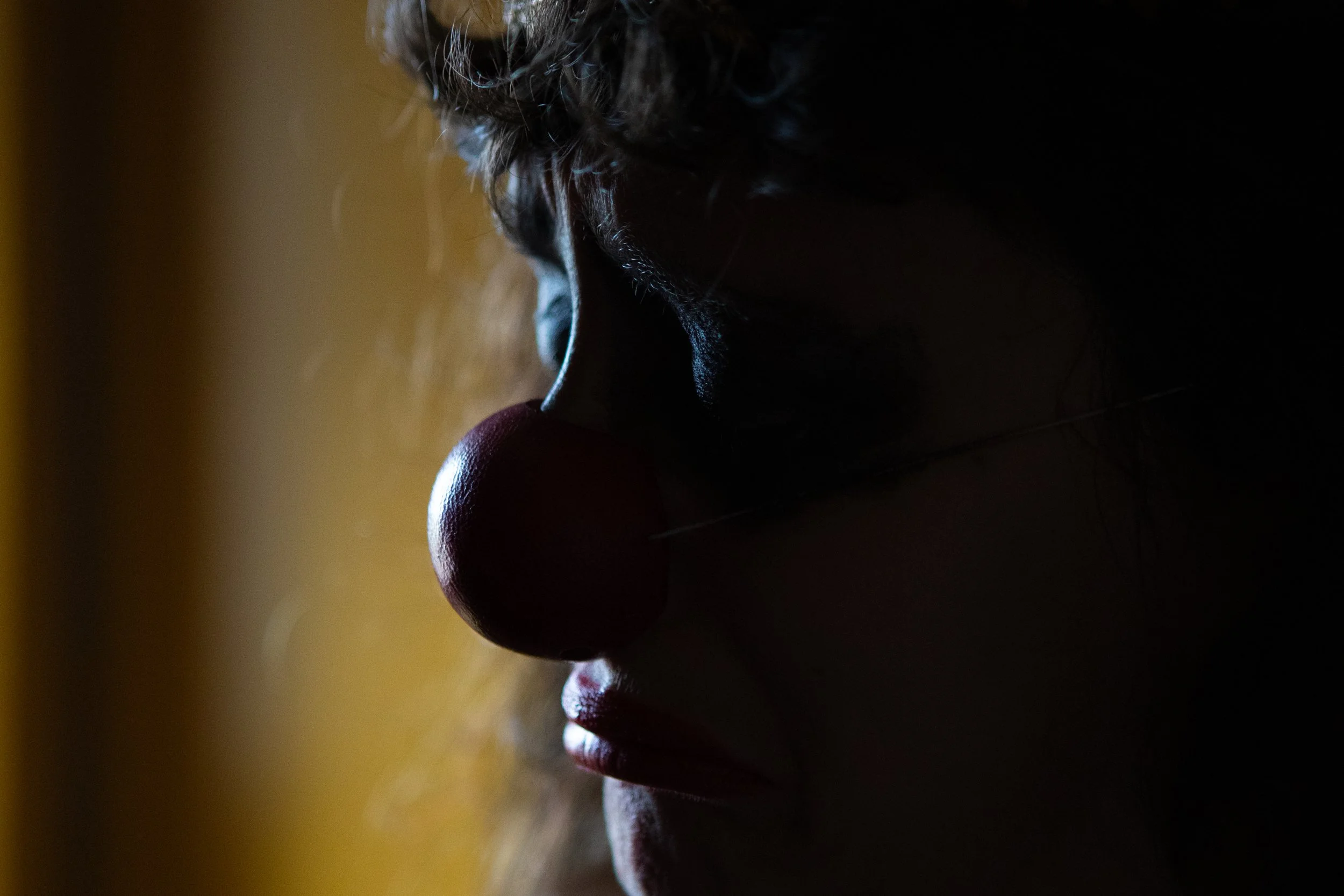 Julie la clowne_profile.jpg