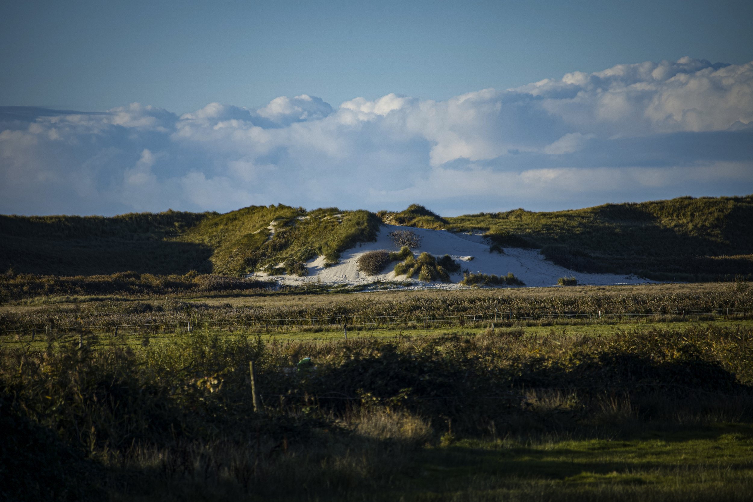 Dünenlandschaft mit grünem Gras und Sträuchern in der Nähe, blauer Himmel mit Wolken im Hintergrund.