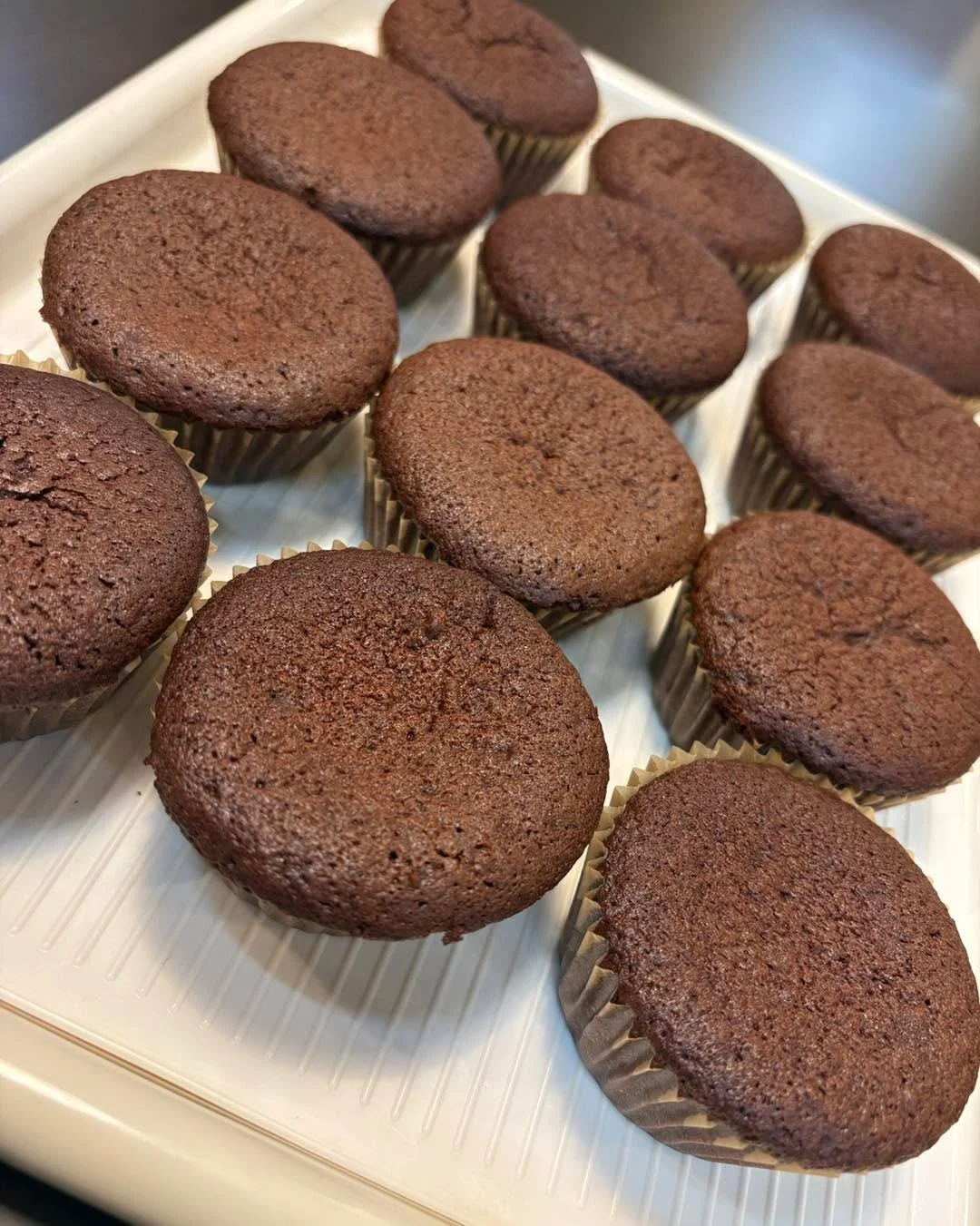 2026/2/9
今週のスープカレーはグリーンカレーです
今週のスイーツはガトーショコラとプリンです

#TOYOTABASE#コワーキングスペース#ライブハウス#カフェ#豊田市#ワークアウト#キャンプ#会議室#トヨタベース