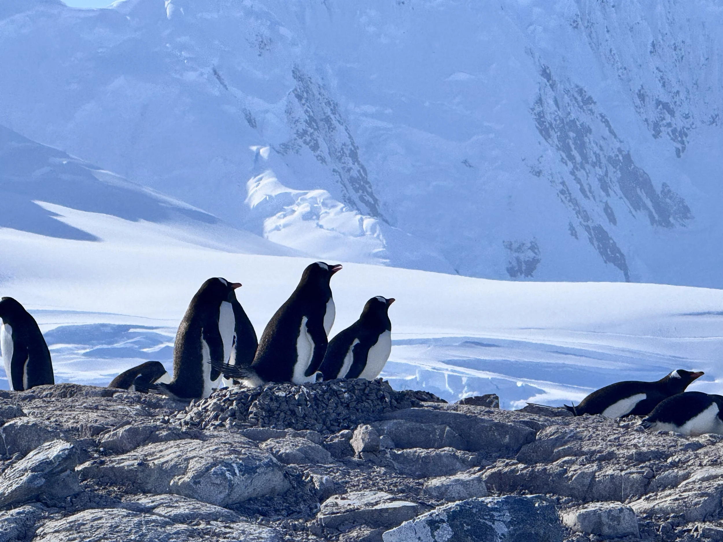 Journey to the End of the Earth: Part 2 – Glaciers, Penguins & Angry Birds