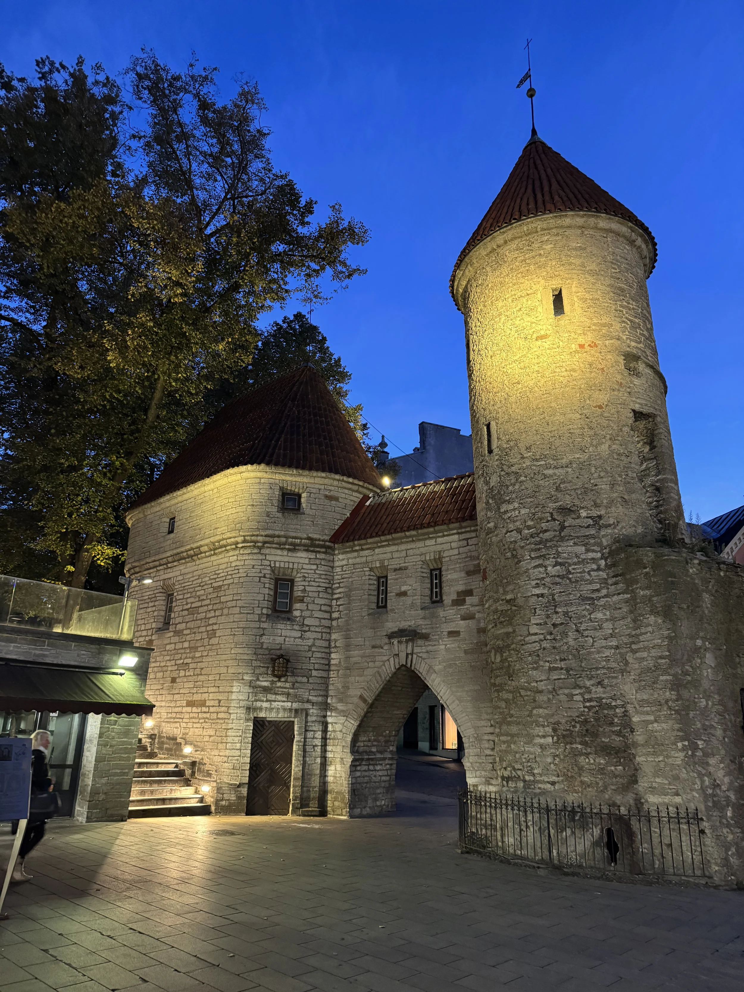 ESTONIA - Old world meets digital.