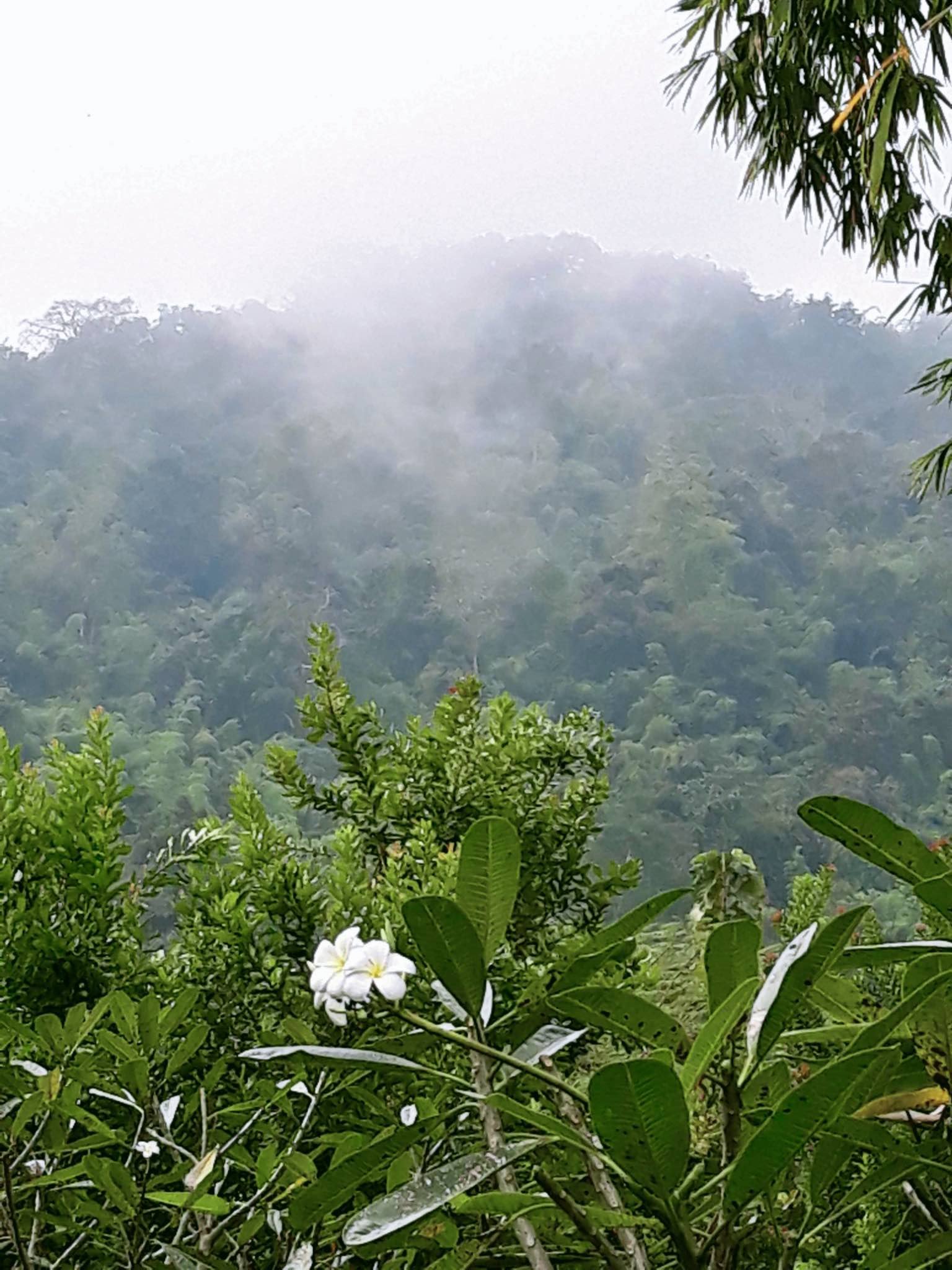 The Quiet Energy of Silence