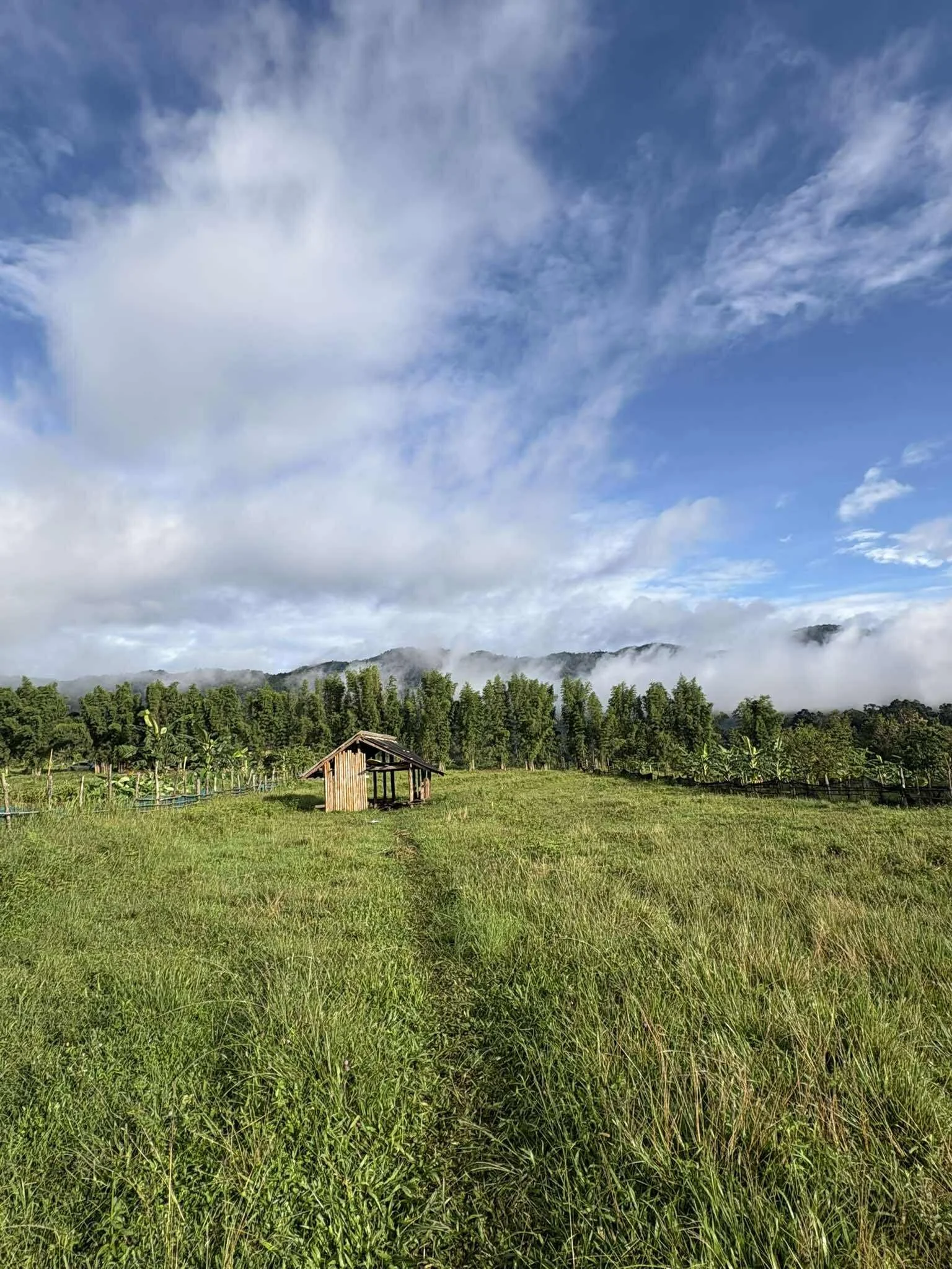 Zen Mountain landscape.jpg