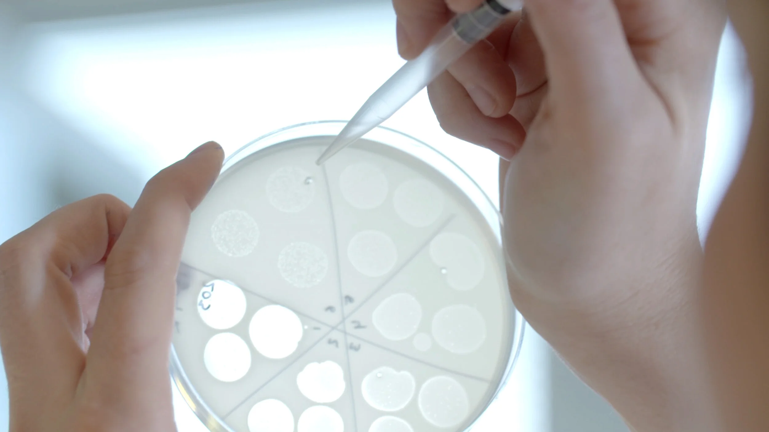 SNIPR_Biome_Video_Thumbnail_01.jpg