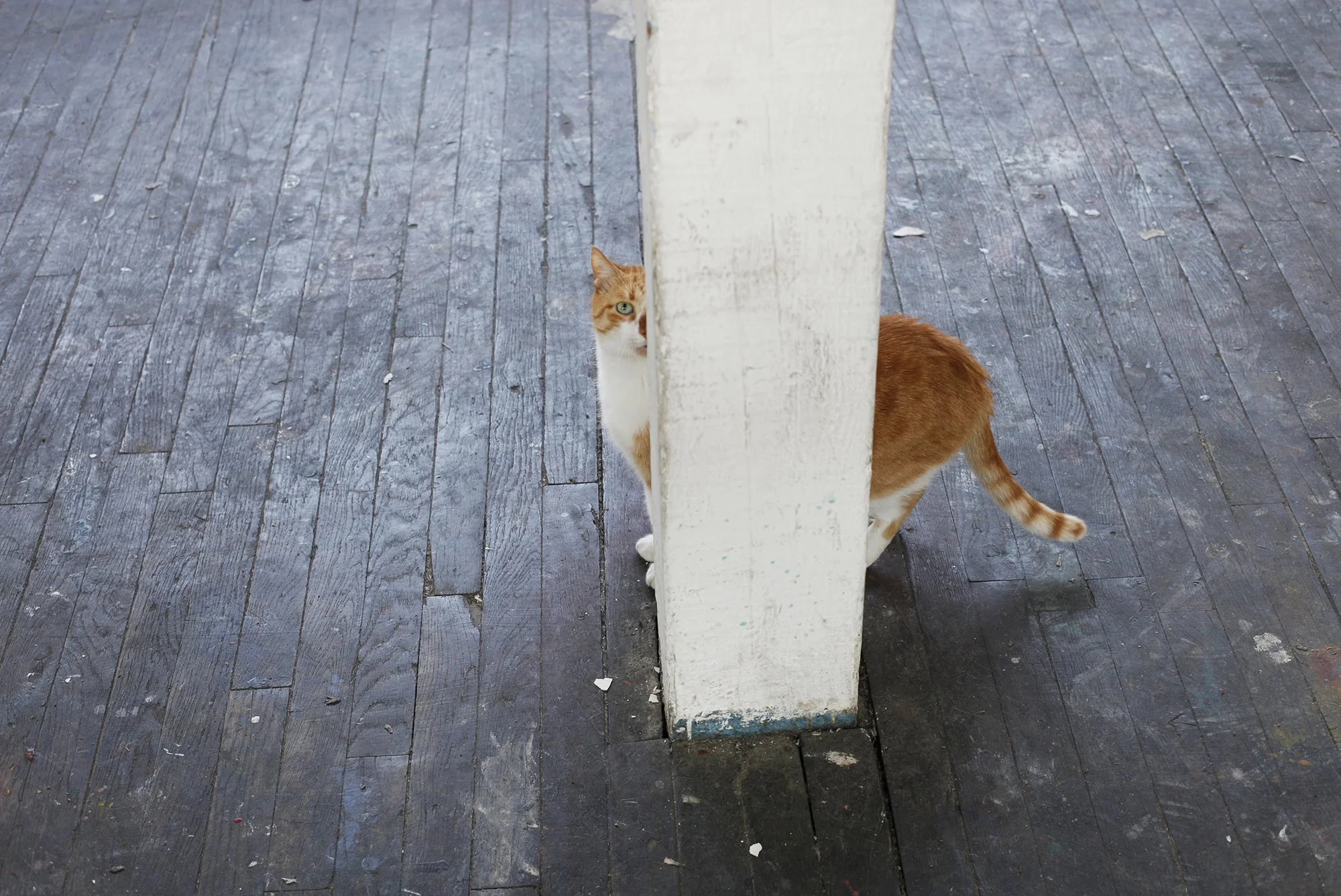 camillemalissen M HAAS CHAT.jpg