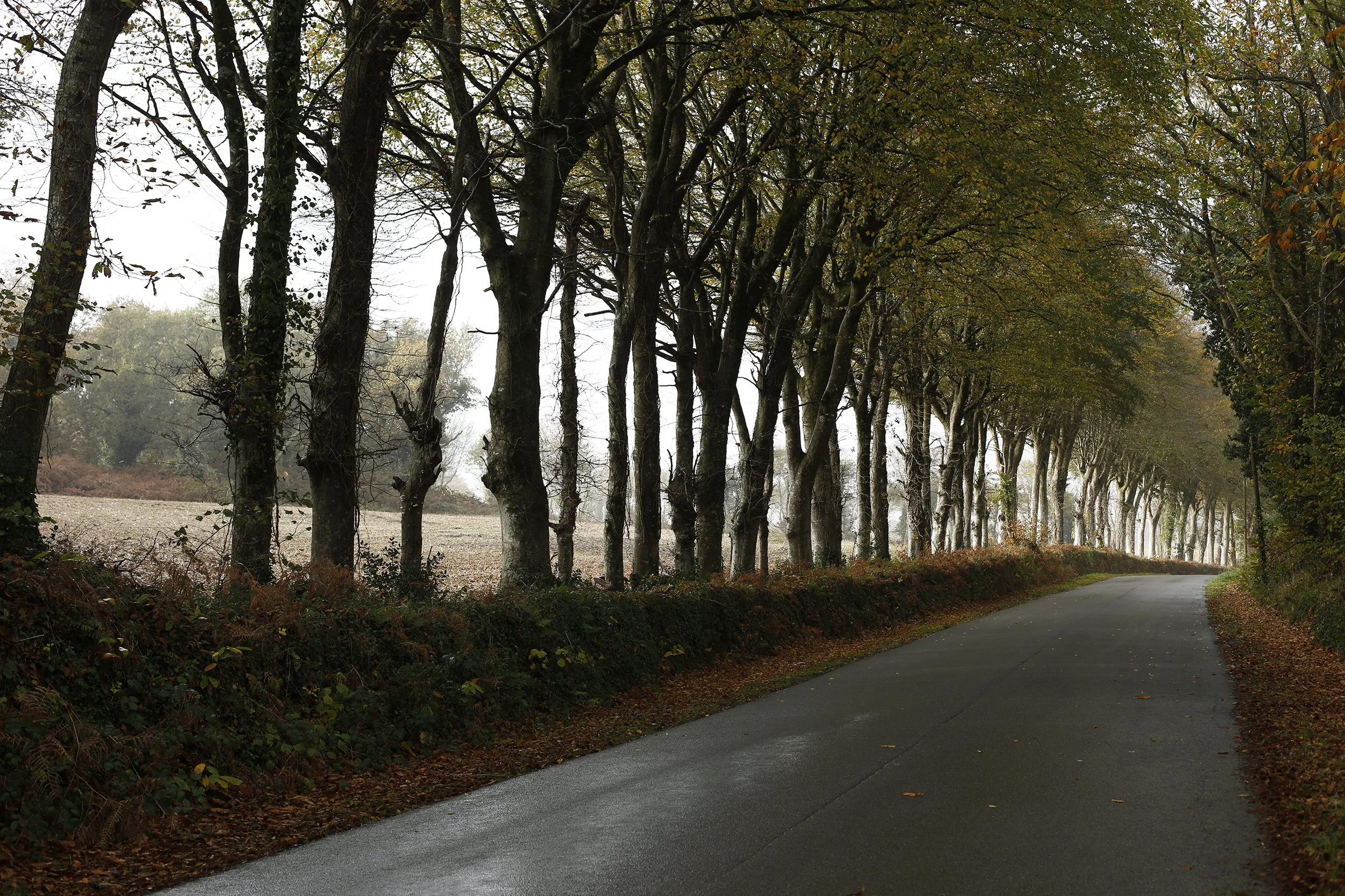 CAMILLE MALISSEN_98A4834.jpg