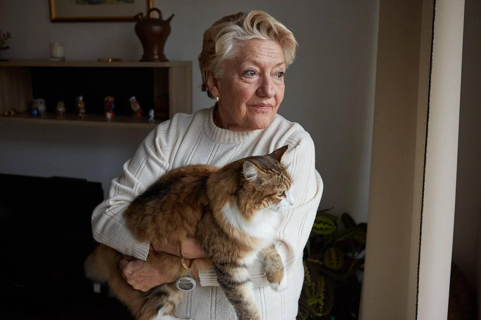 Domitys agence Havas 