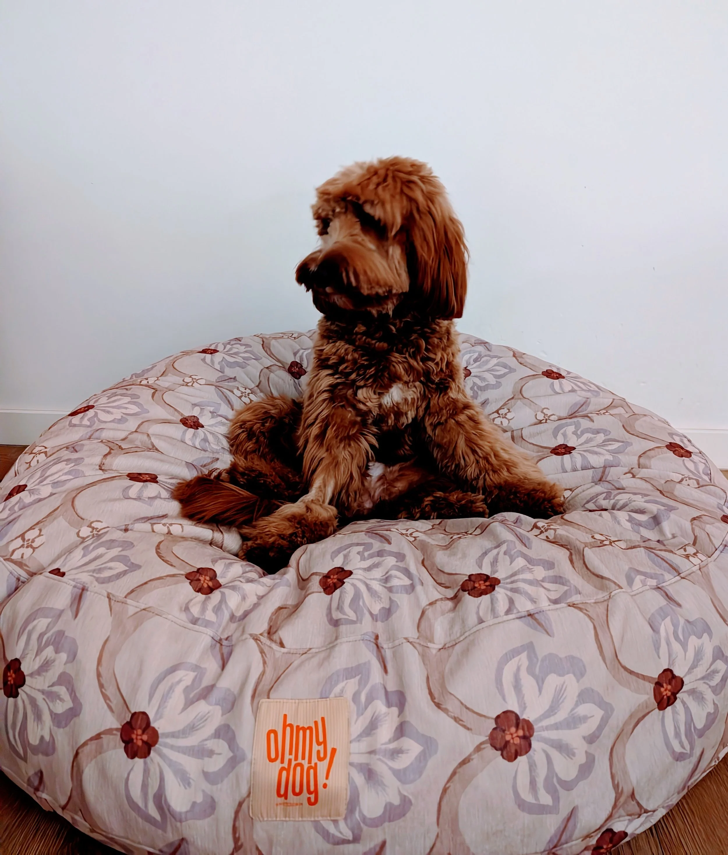 Perro de raza retriever de color marrón sentado sobre una cama con cobija de diseño floral y etiqueta que dice 'oh my dog'.