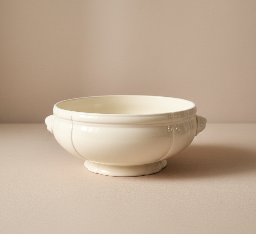 vintage digoin sarreguemines french ironstone tureen bowl