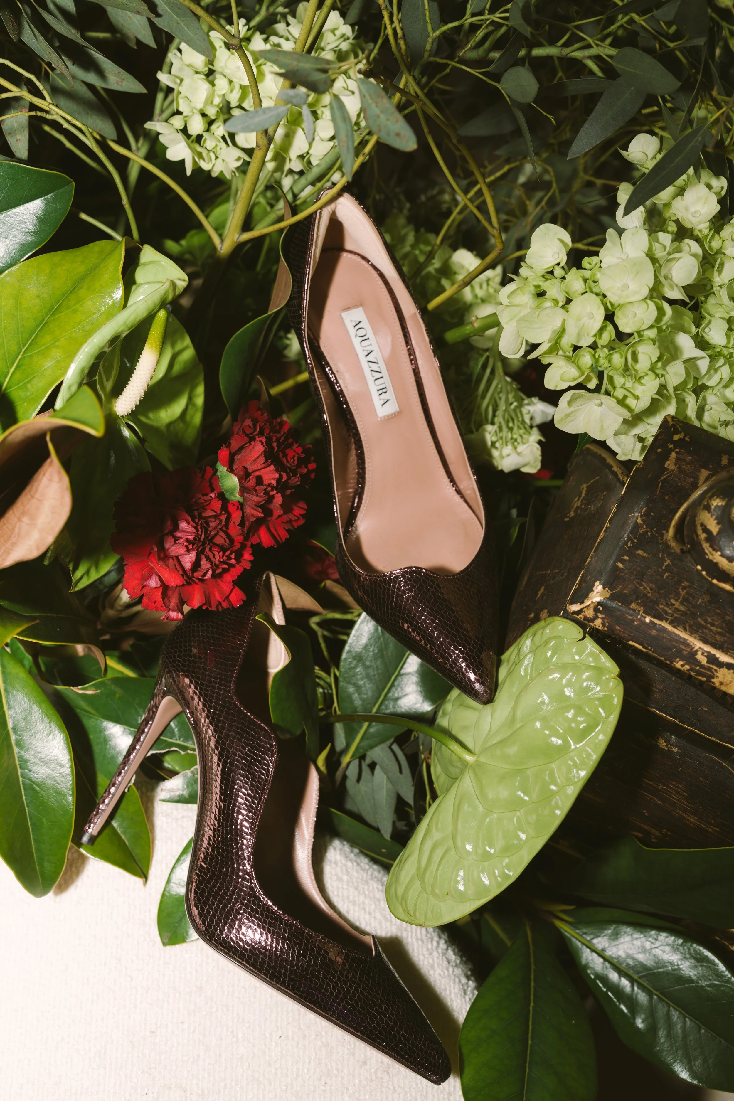 Une paire de chaussures à talons pointus en cuir à motif serpent, placée parmi des feuilles vertes, des fleurs blanches et rouges, et un vieux coffre en bois.