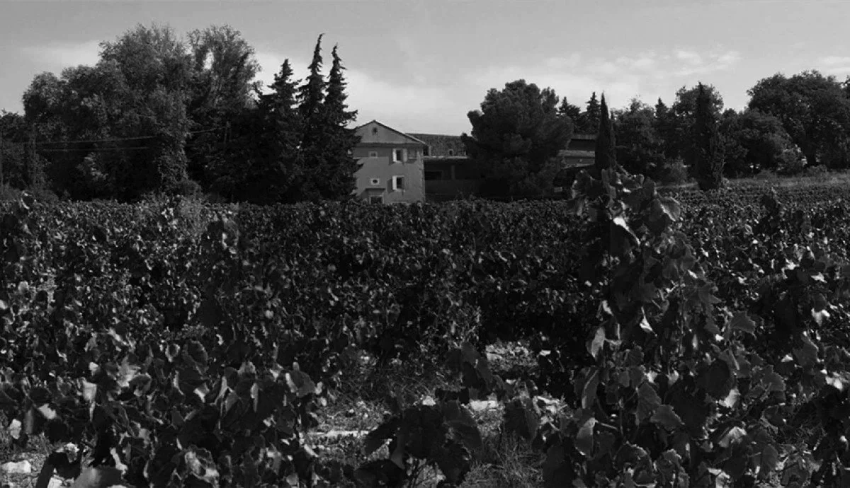 Domaine Gramenon