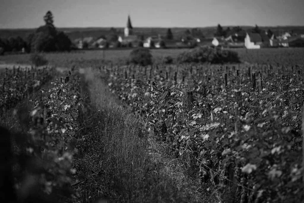 Domaine de la Chevalerie