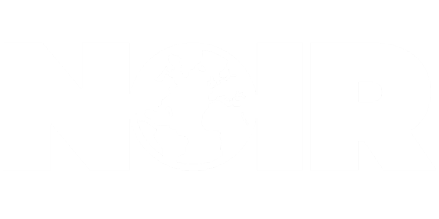 NOIR The Agency