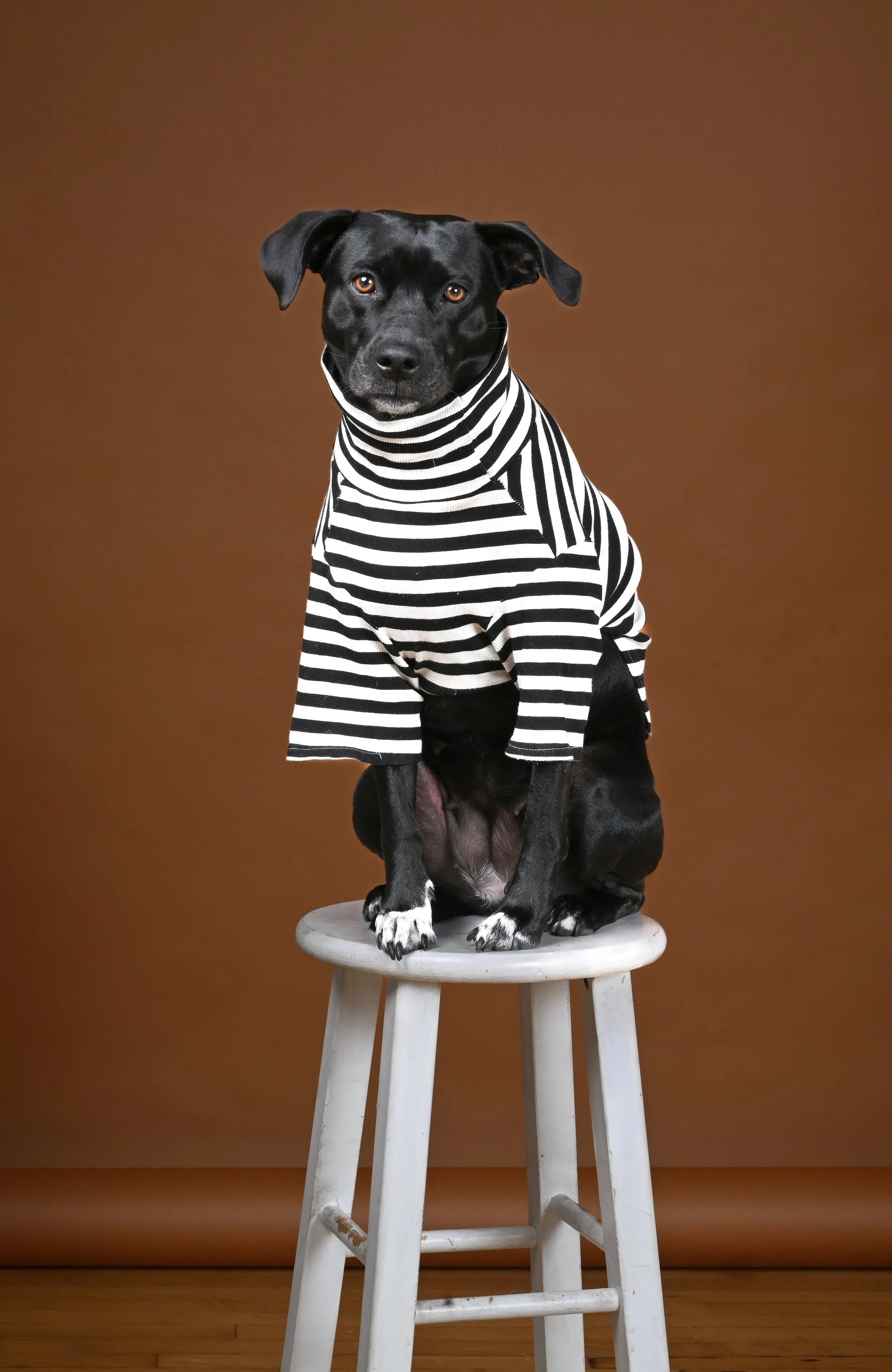 ArtChickandherdogNina-1.jpg