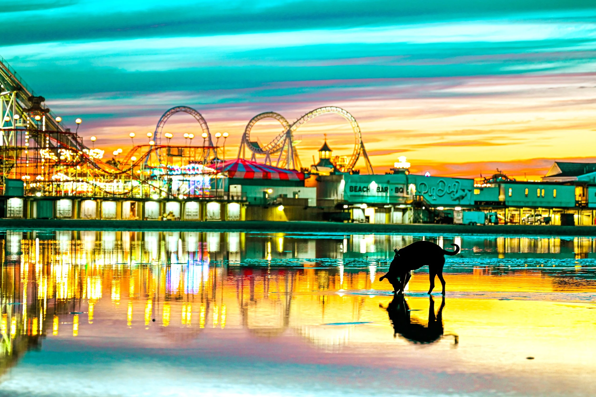 A silhouette of a dog drinking water at the beach at sunset, with a amusement park with rides and bright lights in the background, and reflections on the wet sand.