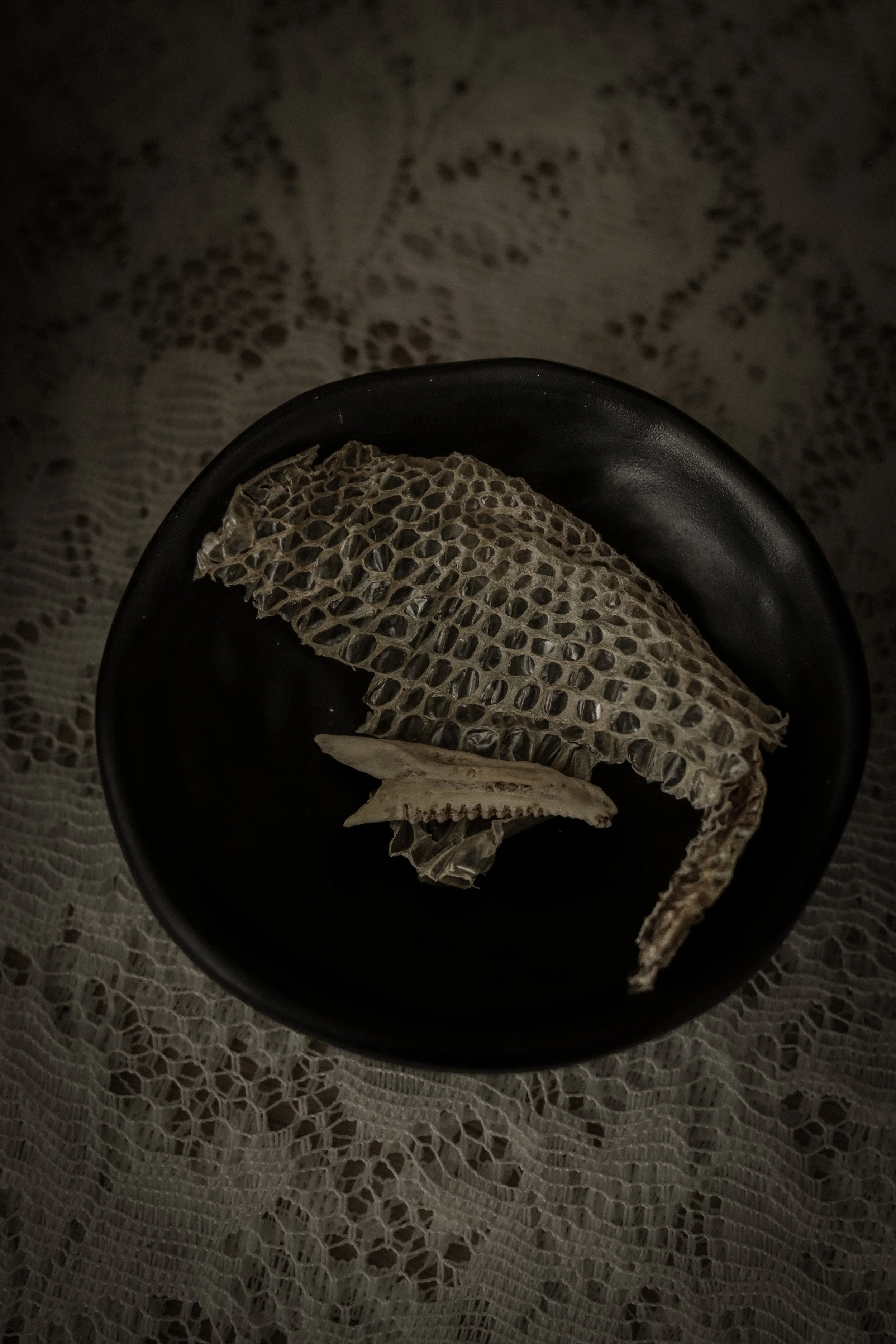 Dry, textured fish skin on a black plate set on lace fabric.