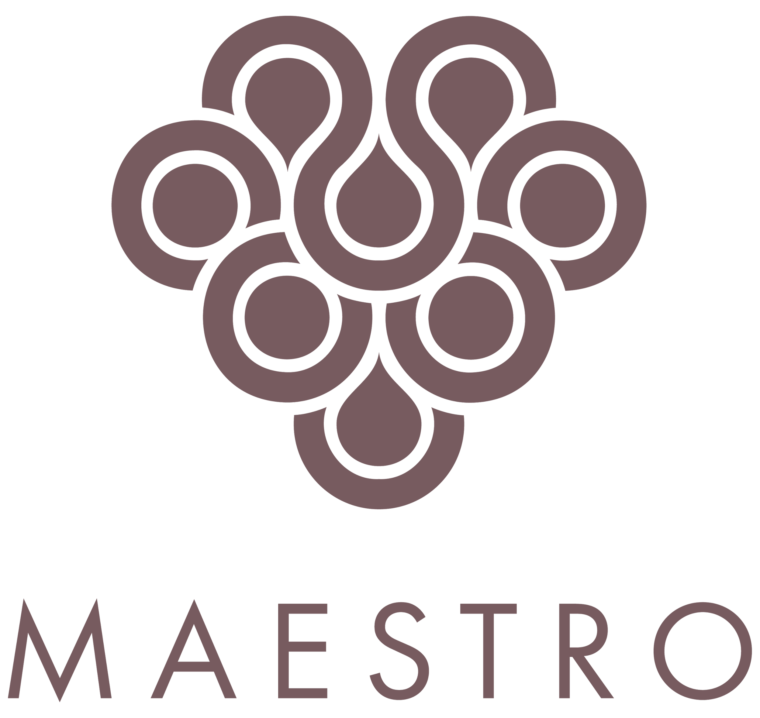 Maestro logo designet av Bcom.