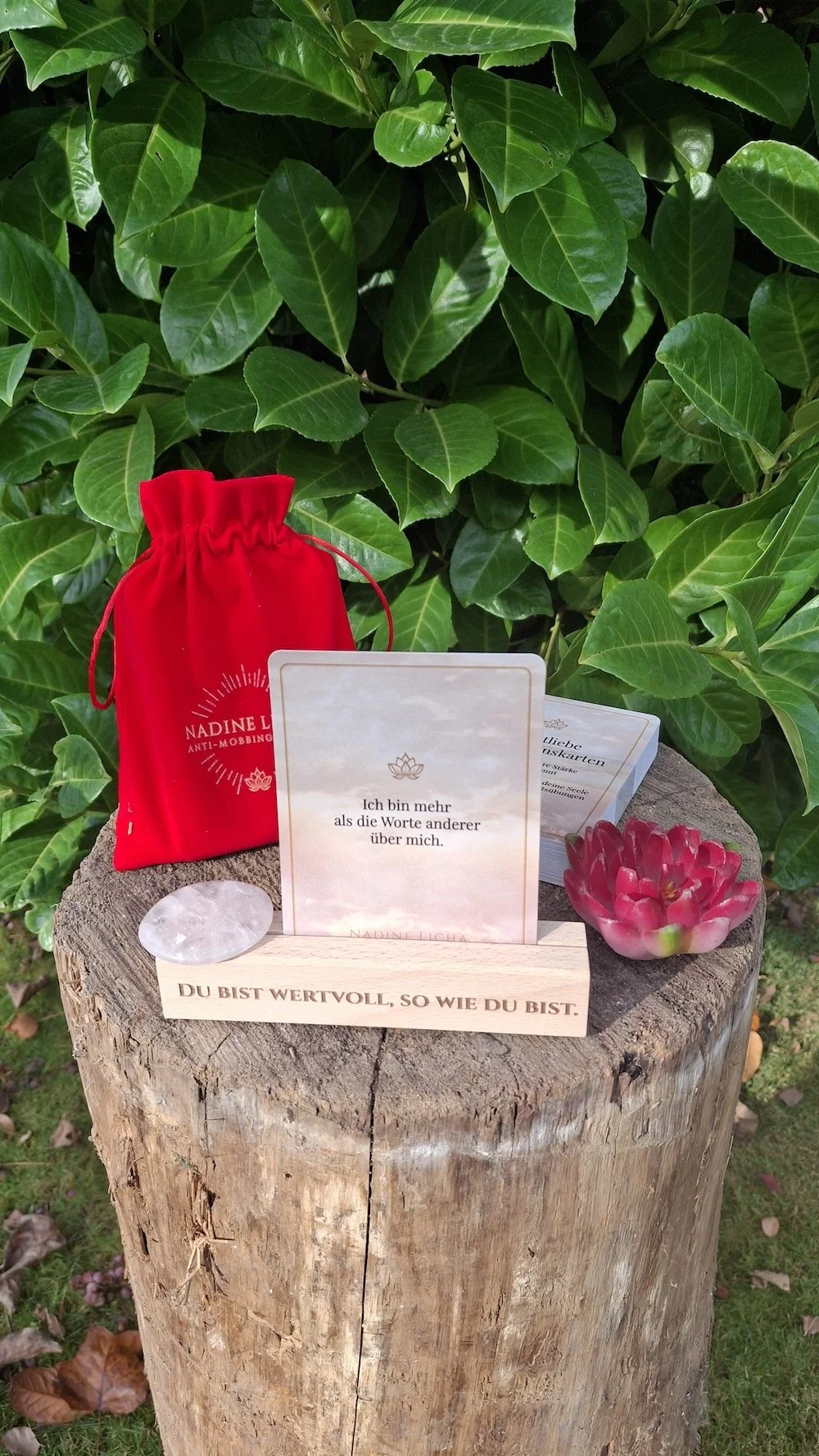 Selbstliebe Affirmationskartenset