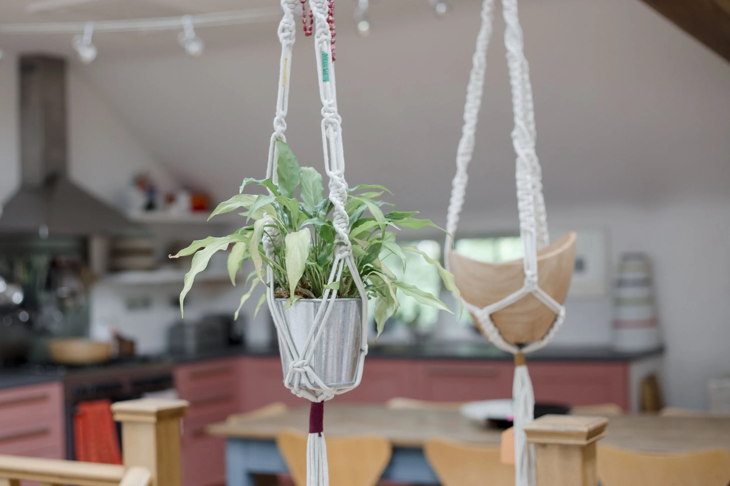 Hand made macrame plant hangers hanging within the workshop space of The Arienas Collective