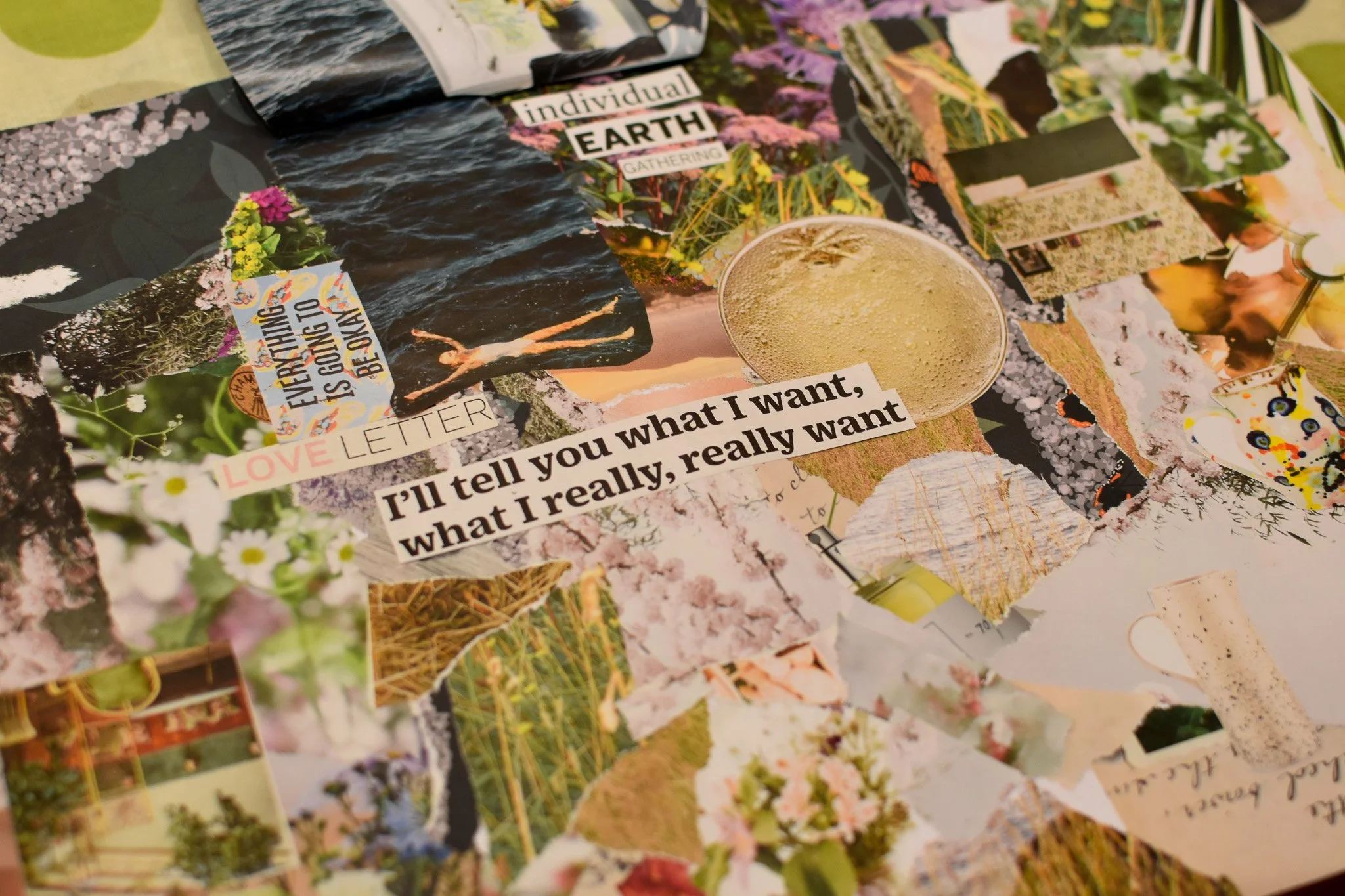 A collage of pictures and words as a vision board with a central message reading I'll tell you what I want, what I really, really want