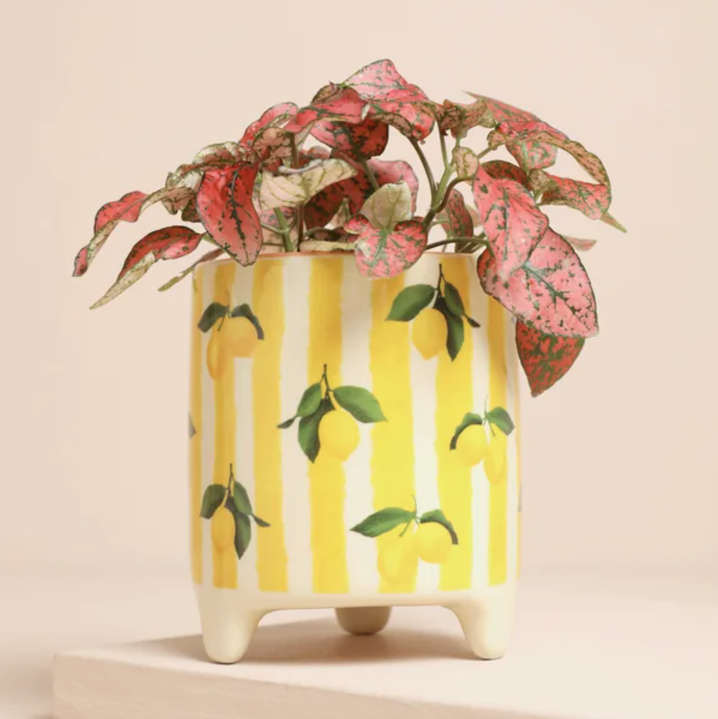 Screenshot 2026-02-02 at 15.01.12.png