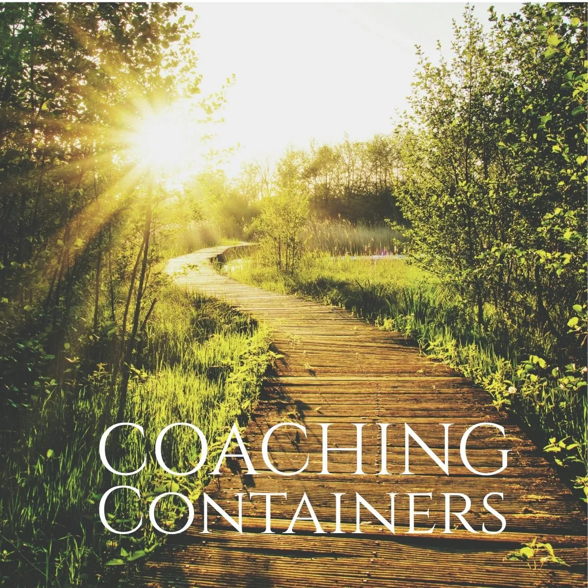 A wooden trail in a lush green park with trees and grass, sunlight shining through the trees, and the word 'coaching containers' written at the bottom.
