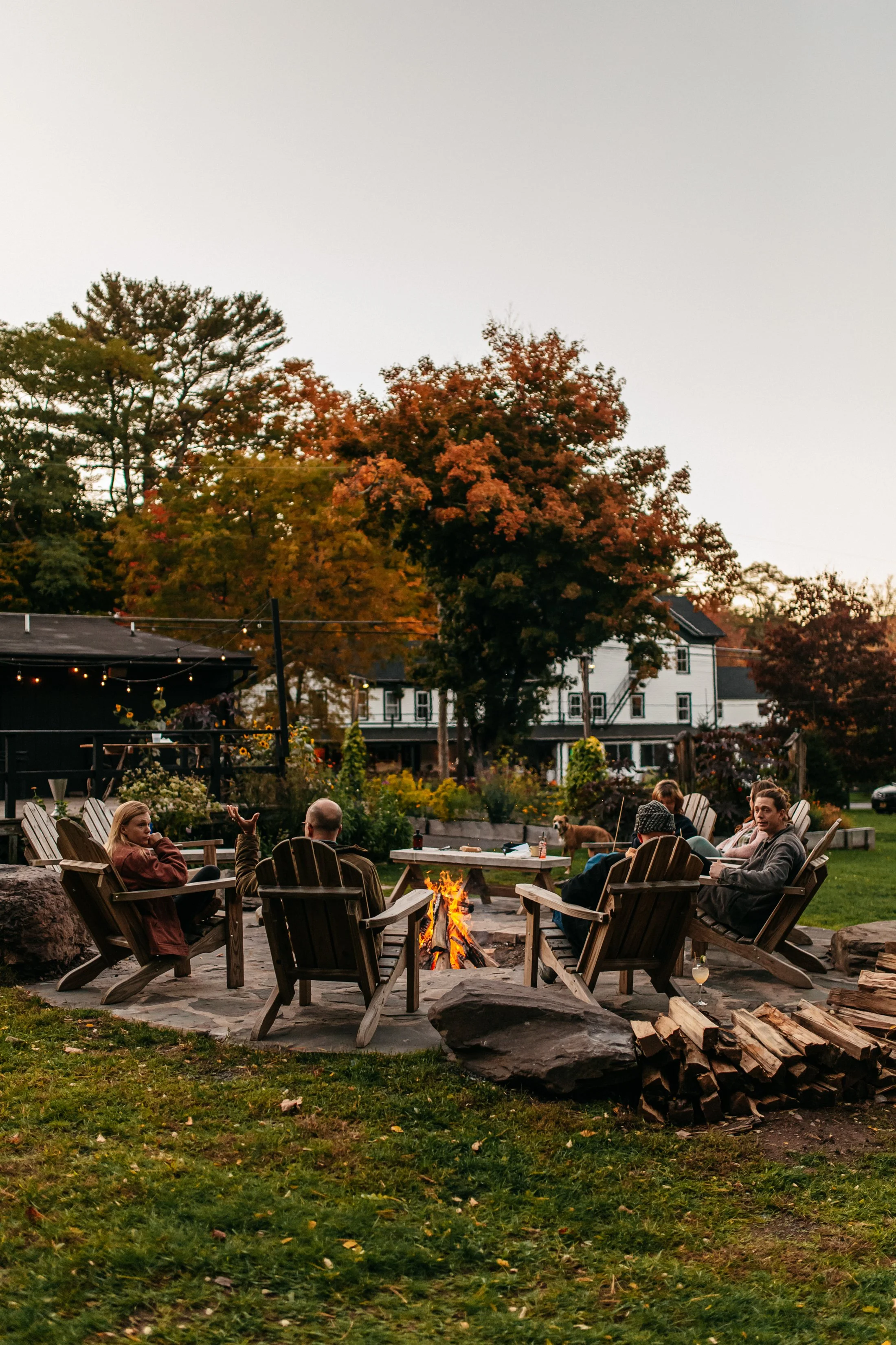 People sitting around a campfire in a backyard during autumn, with trees displaying fall foliage and houses in the background.