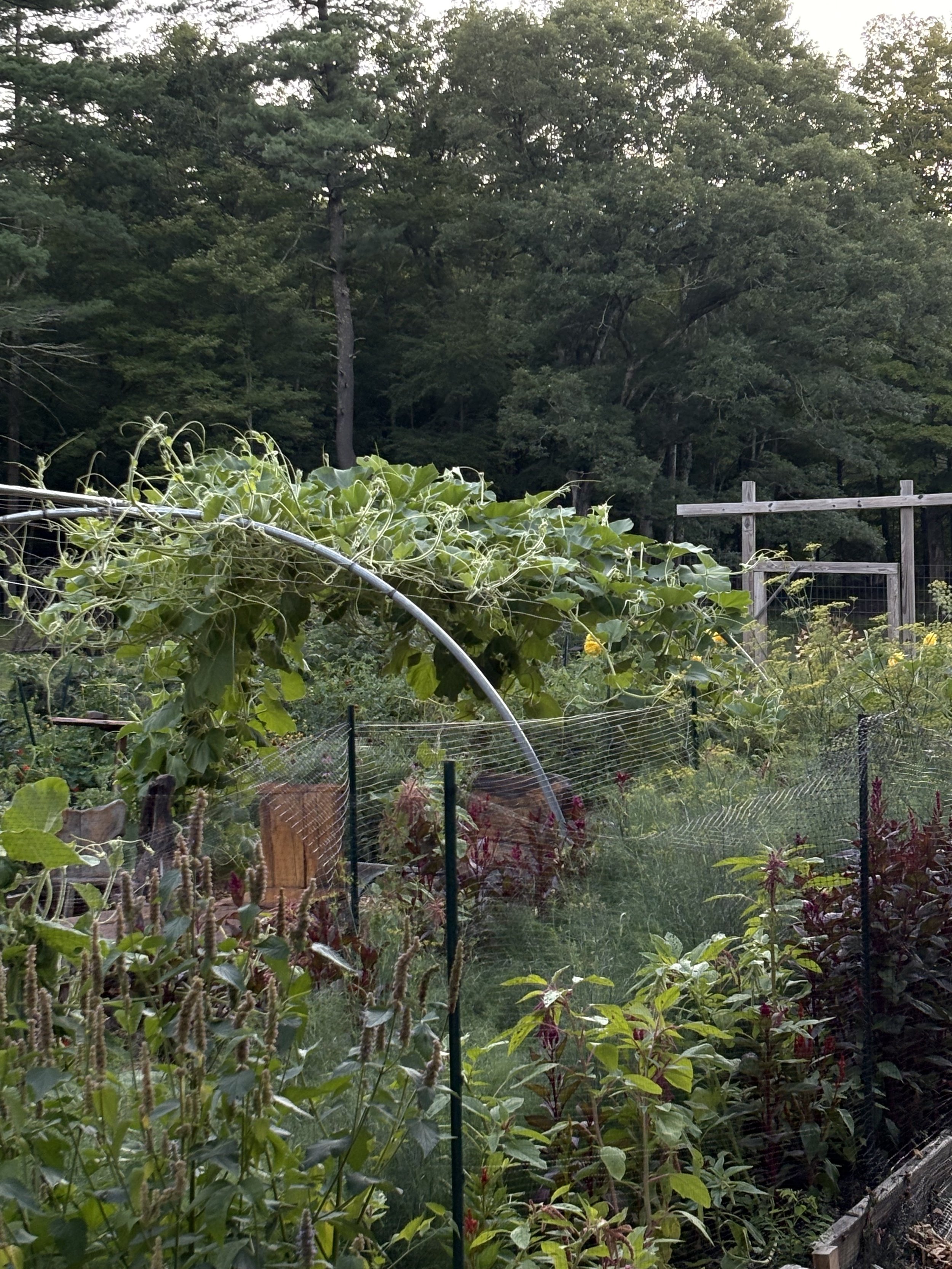 SPRING PLANTING WEEKEND