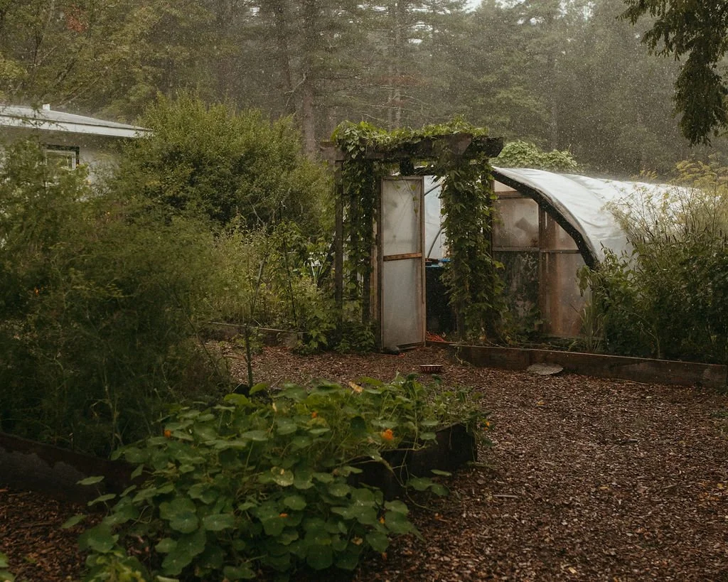 SPRING PLANTING WEEKEND