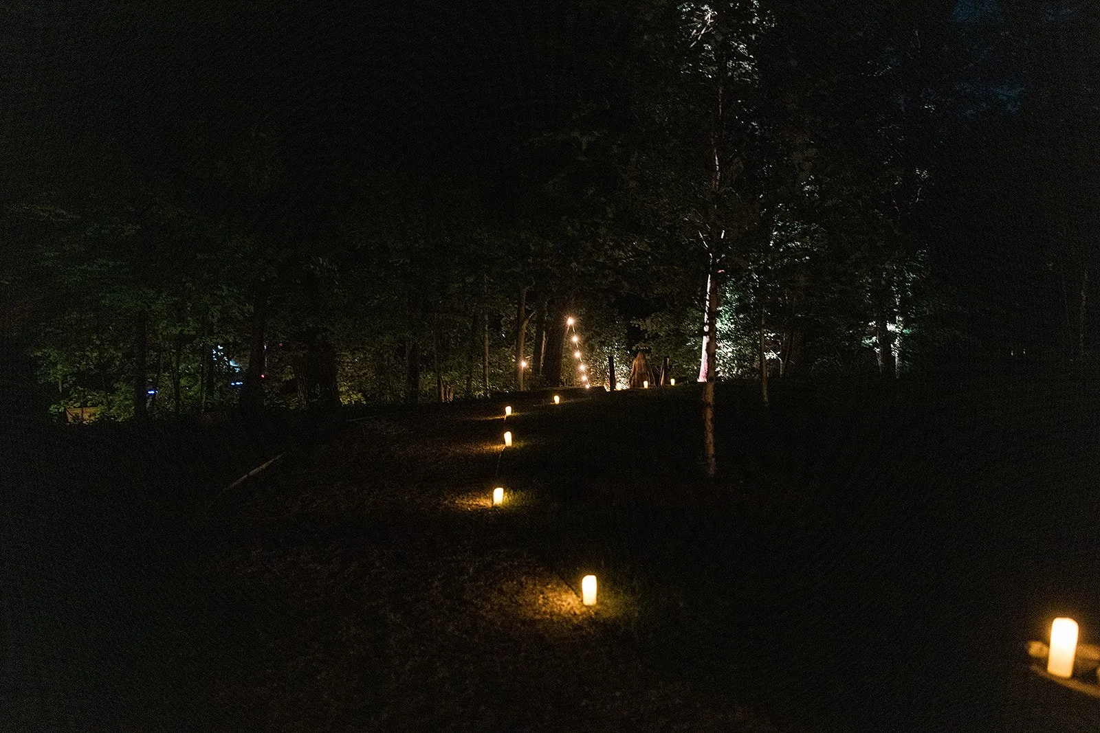 A dark outdoor pathway illuminated by flickering candle lights along its sides, surrounded by trees with faintly visible lights in the background.