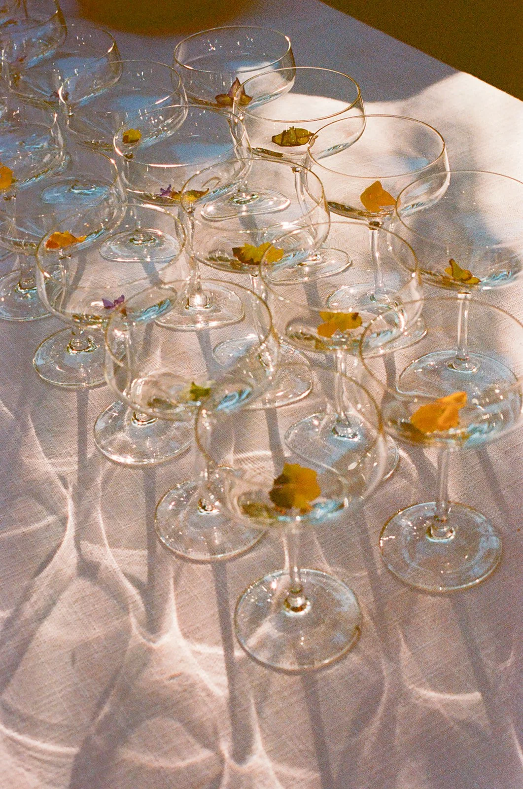 Multiple empty cocktail glasses with small colorful flowers inside, arranged on a white tablecloth, with shadows cast on the table.