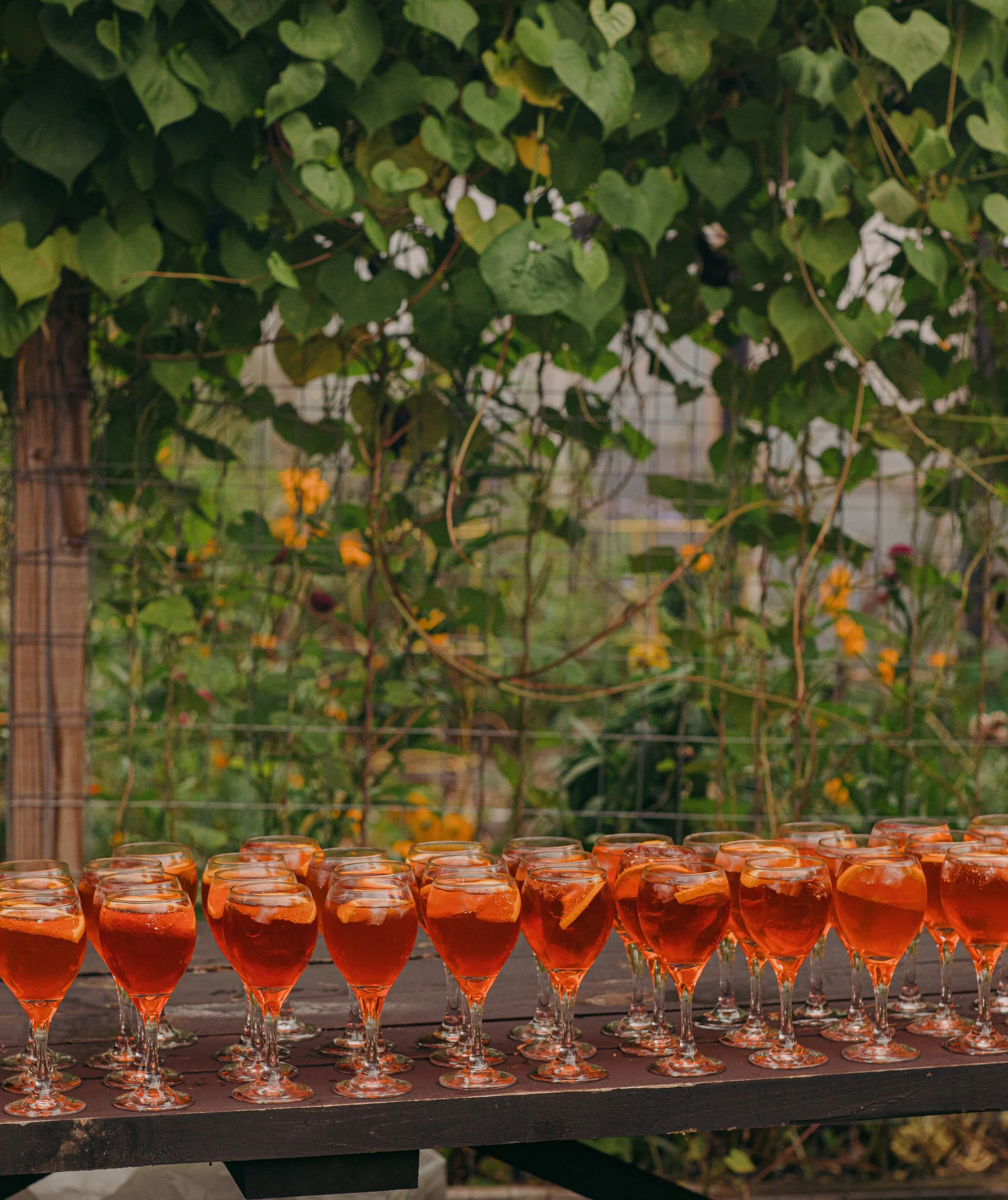 Multiple glasses of rosé wine with lemon slices on a wooden table outdoors.