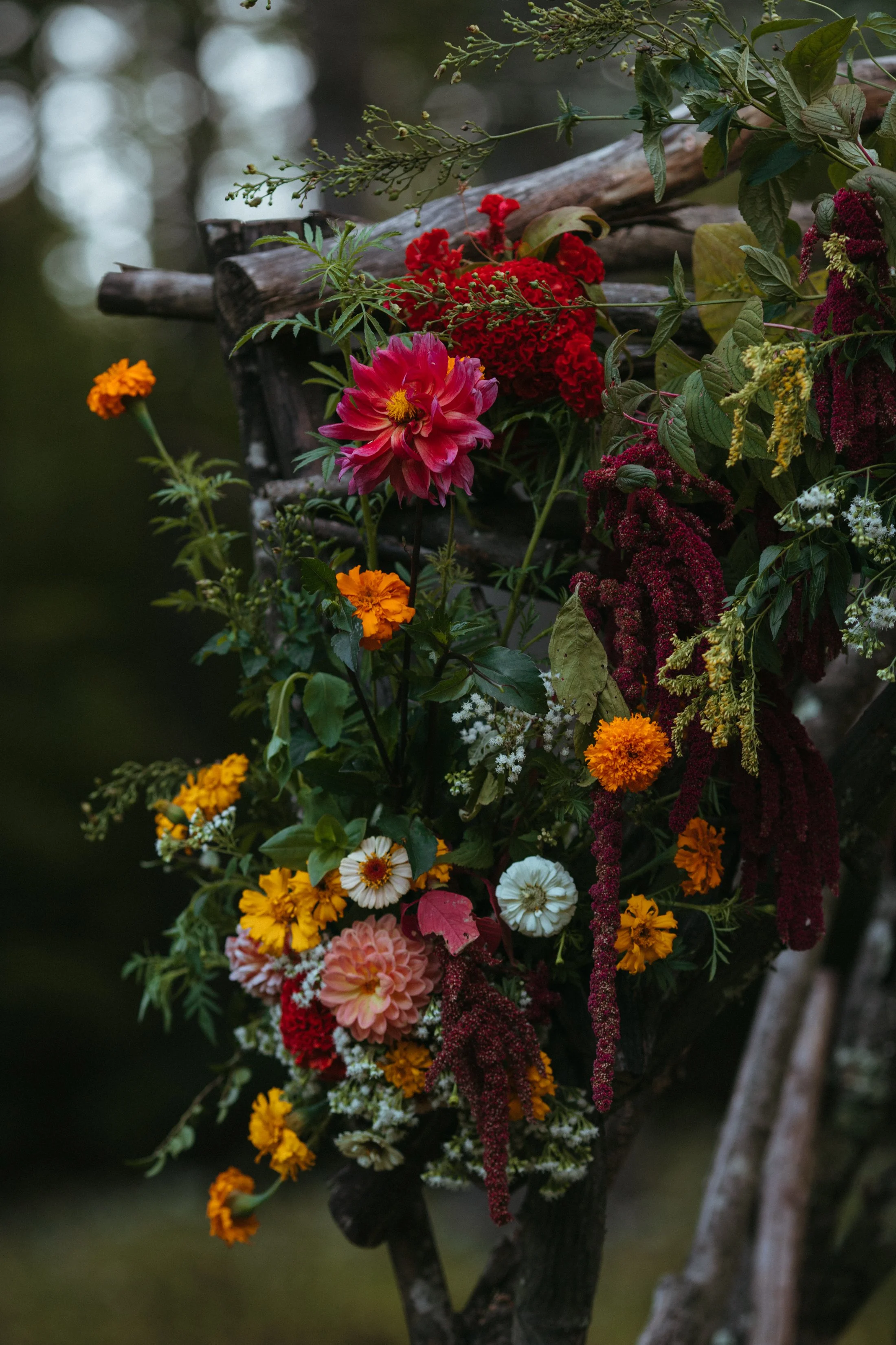 A variety of colorful flowers including pink, orange, white, red, and yellow, arranged on a wooden structure outdoors.