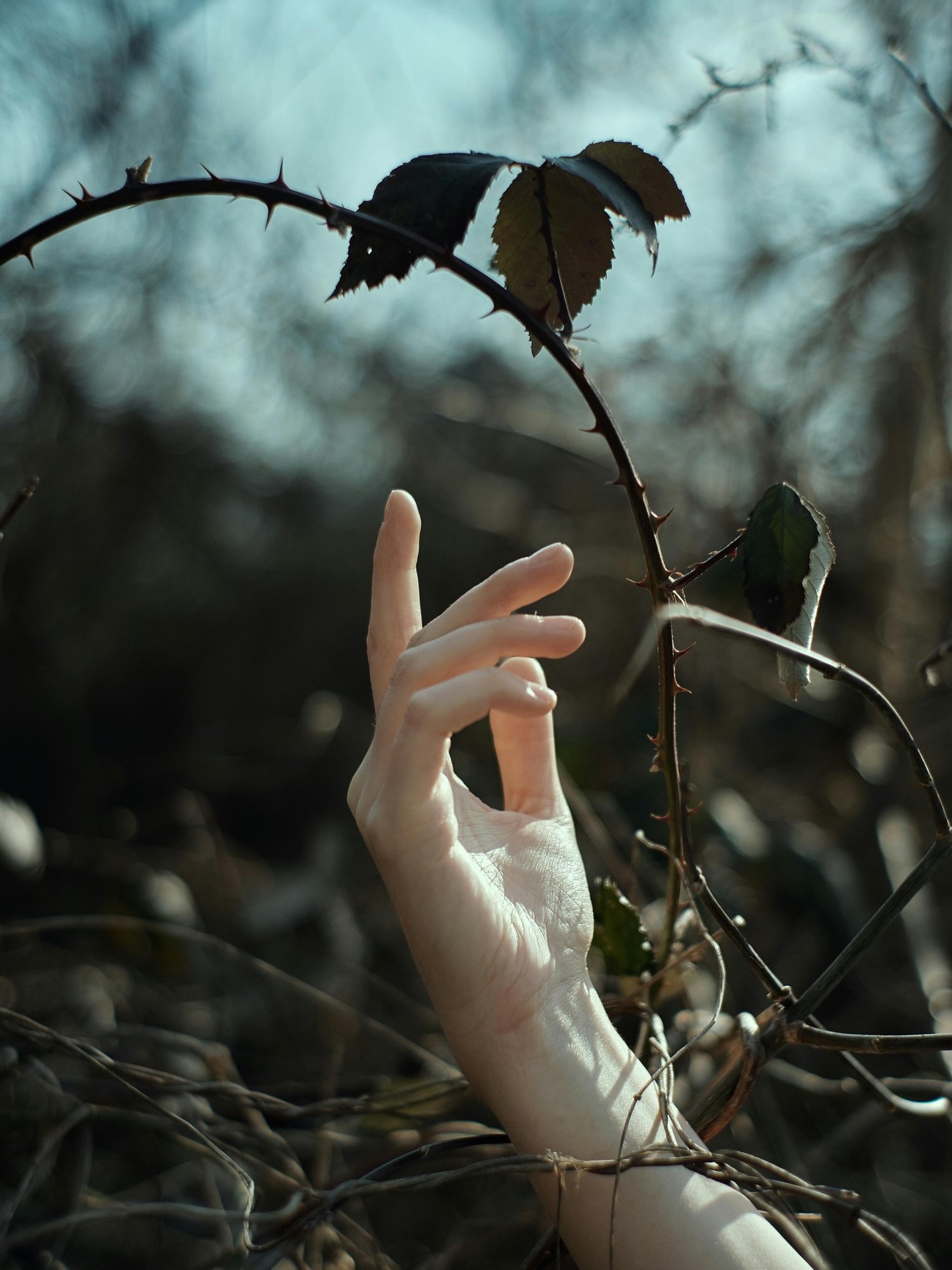 Thinking of a different name for my novel.

How does The Witch&rsquo;s Hand sound to you?

#fantasywriter #fantasywritersofinstagram #fantasybookstagram