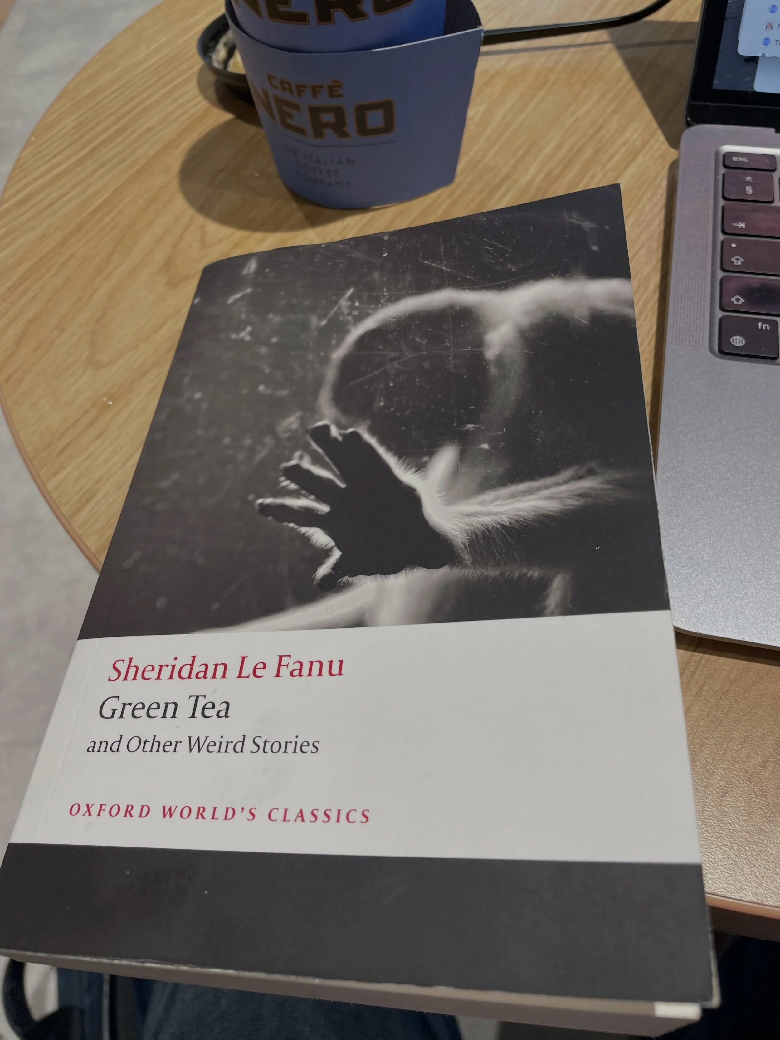 In a very wet London for the Dissenting Theology workshop at Birkbeck. Thought I&rsquo;d bring some appropriate reading.

#weirdfiction