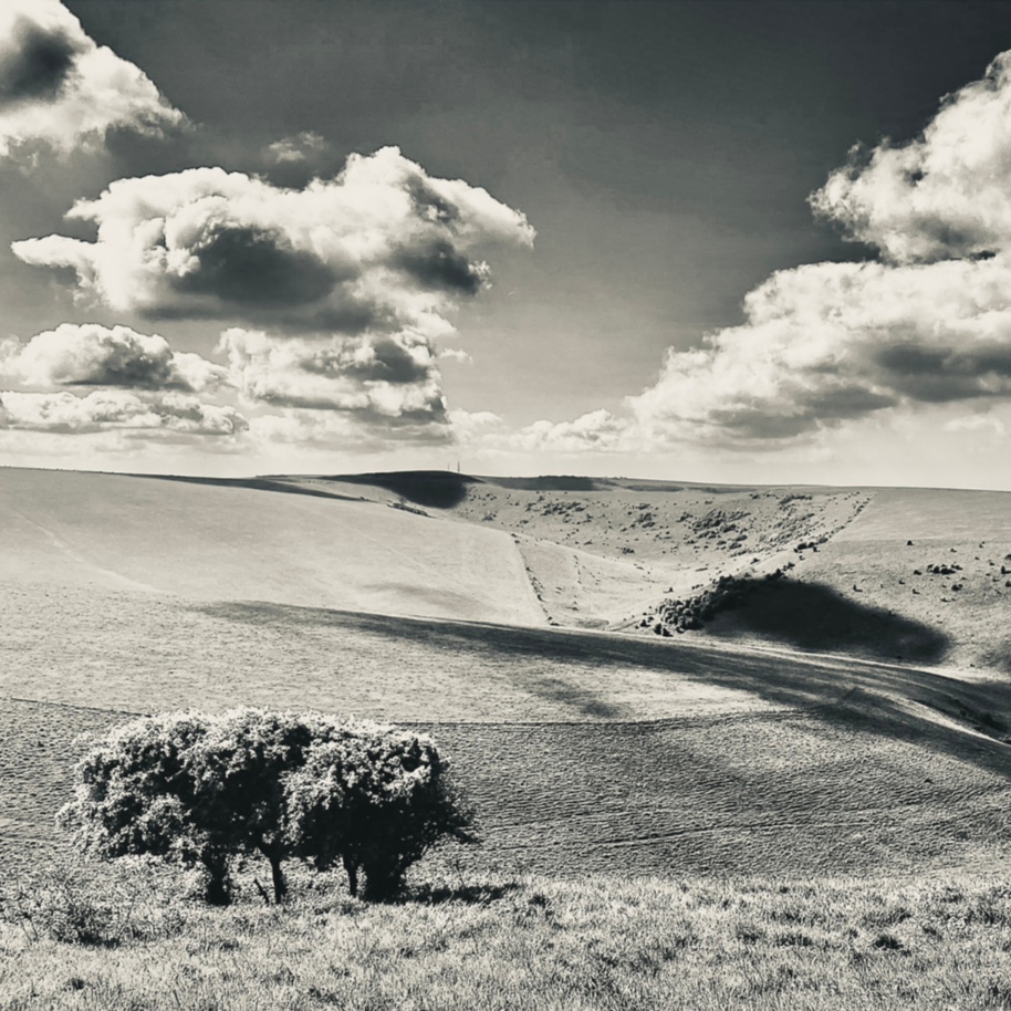 Fragment of Fine Art Photograph Caburn View #1 by John Worth • Artist
