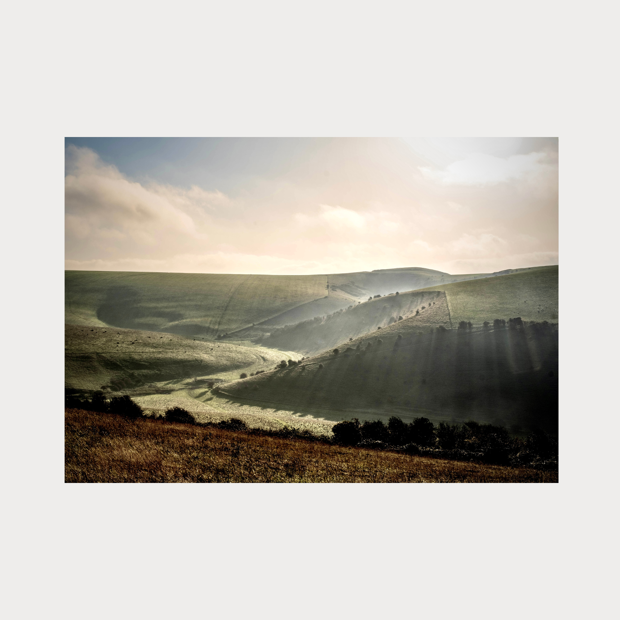 Greetings Card 6 Thumbnail (2000 x 2000 px).png