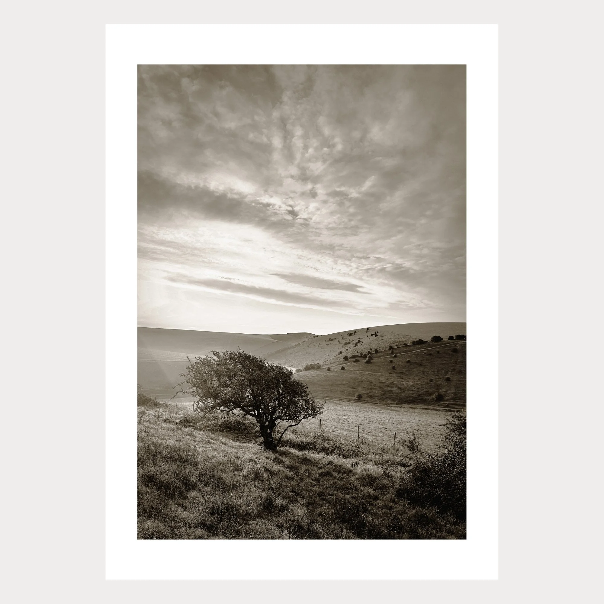 Photo Caburn  01.10.25 Thumbnail (2000 x 2000 px).jpg