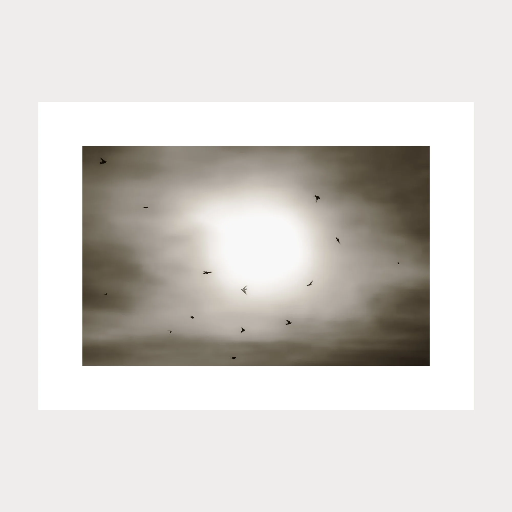 Birds_260918.jpg
