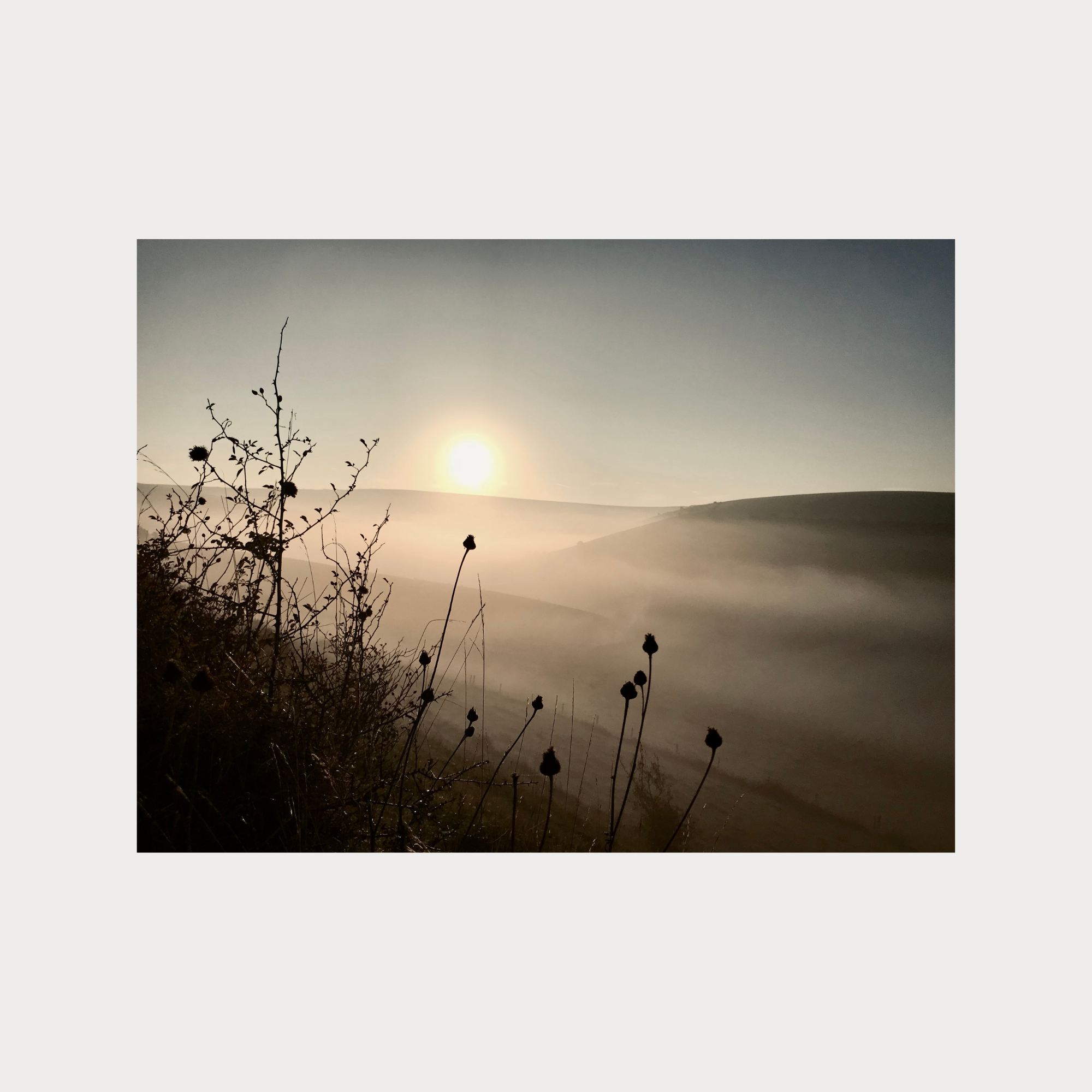 Fine Art Greetings Cards #7 (5 Pack)