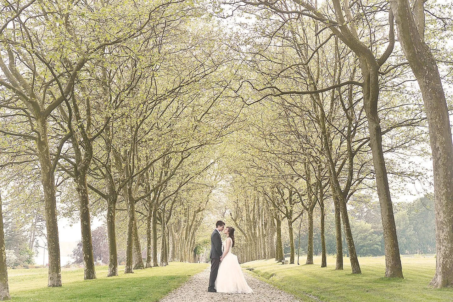 Un jeune couple en habit de mariage éléguants, avec un paysage verdoyant et romantique autour d'eux. Ambiance calme, une allée d'arbres majestueux.