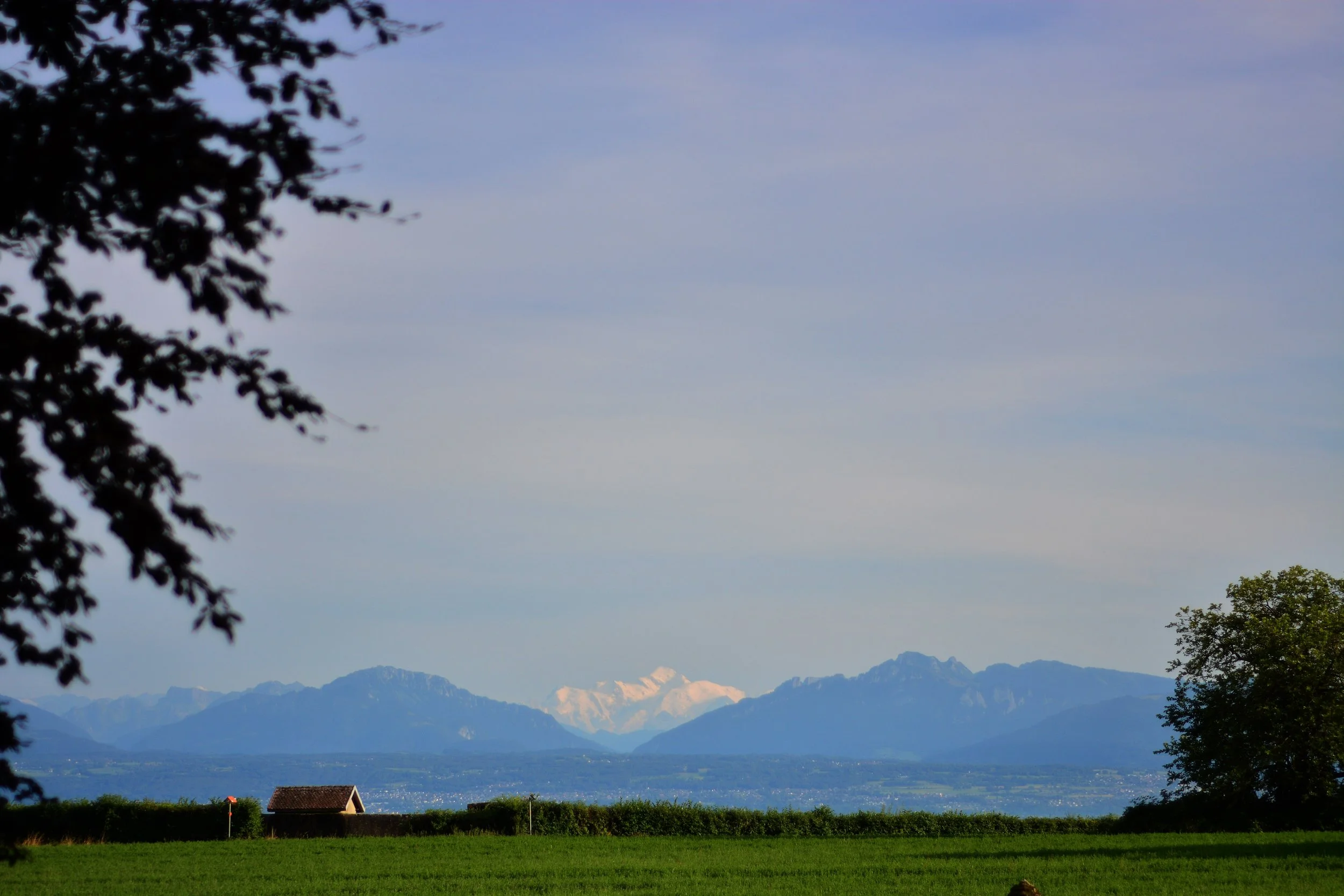Paysage avec montagnes enneigées en arrière-plan, un champ vert au premier plan, un petit bâtiment avec un toit rouge, et des arbres de chaque côté