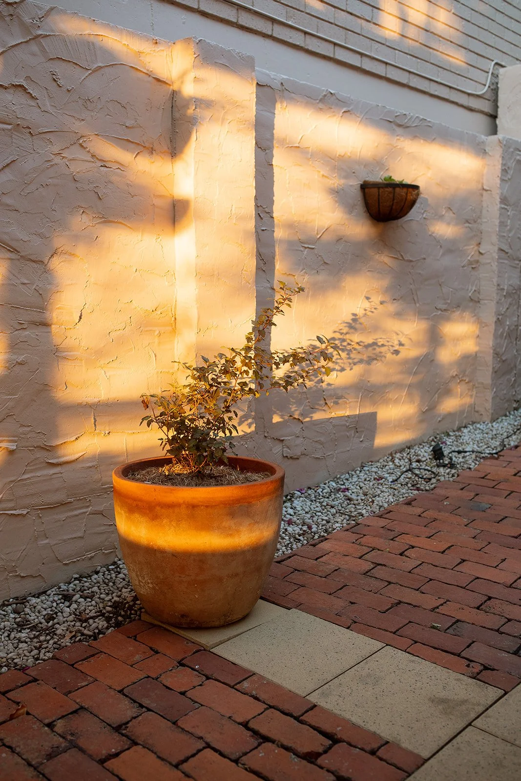 Sunlight cast shadows on a textured beige exterior wall, with a potted plant in the foreground and a small wall-mounted planter in the background, on a brick and stone patio.
