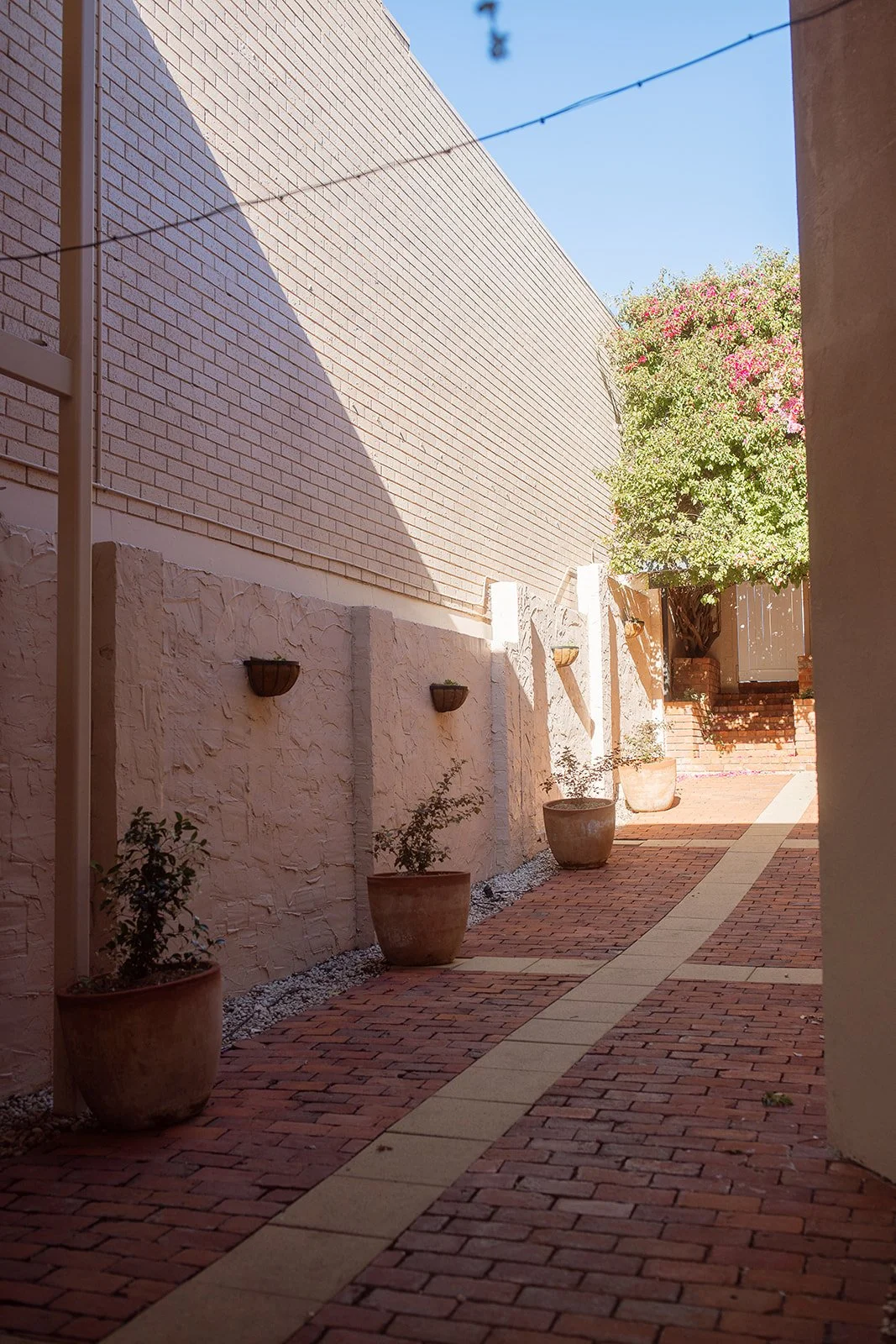 A narrow outdoor brick walkway lined with potted plants on one side and a white brick wall on the other. A tree with pink flowers is visible in the background under a clear blue sky.