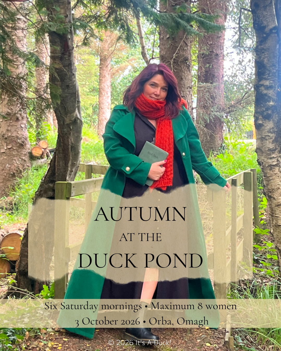 Autumn At The Duck Pond