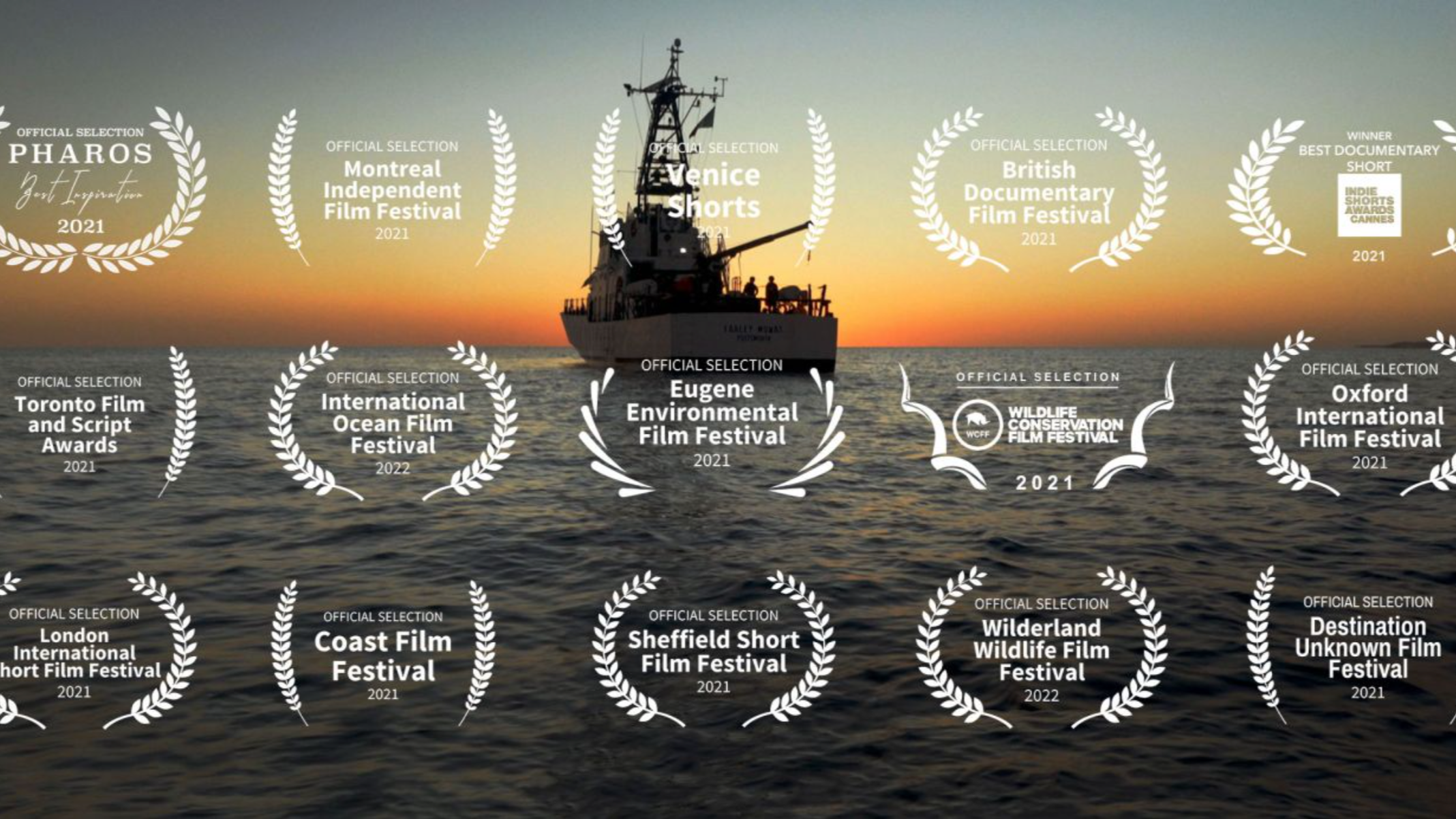 The Last Vaquita